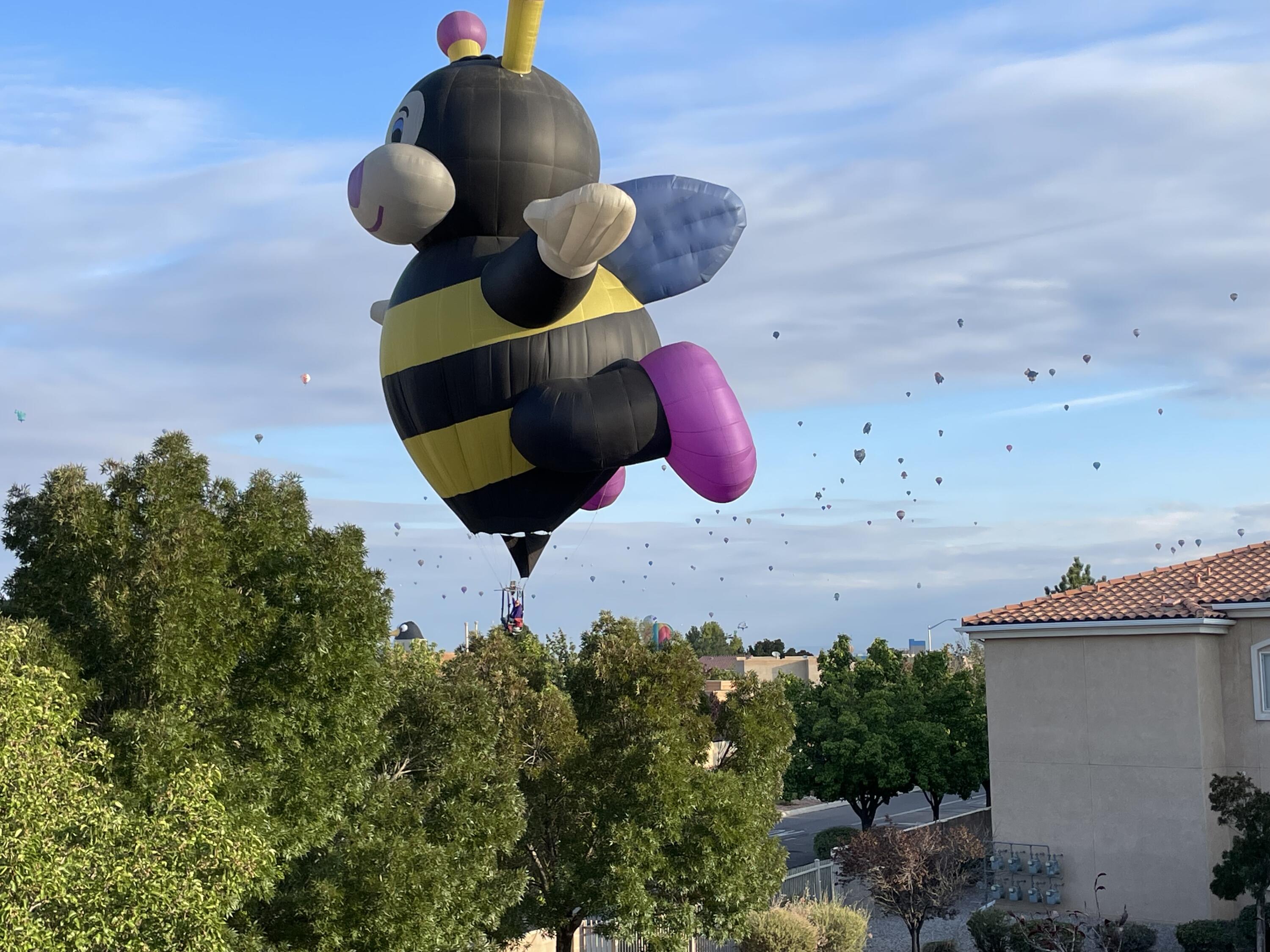 6800 VISTA DEL NORTE Road NE 324