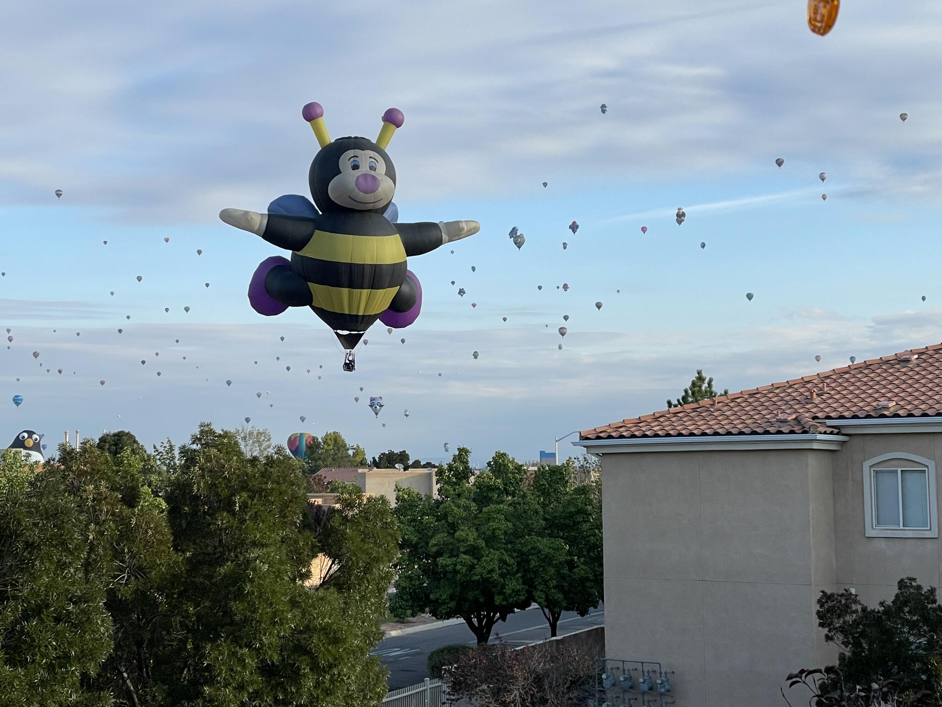 6800 VISTA DEL NORTE Road NE 324