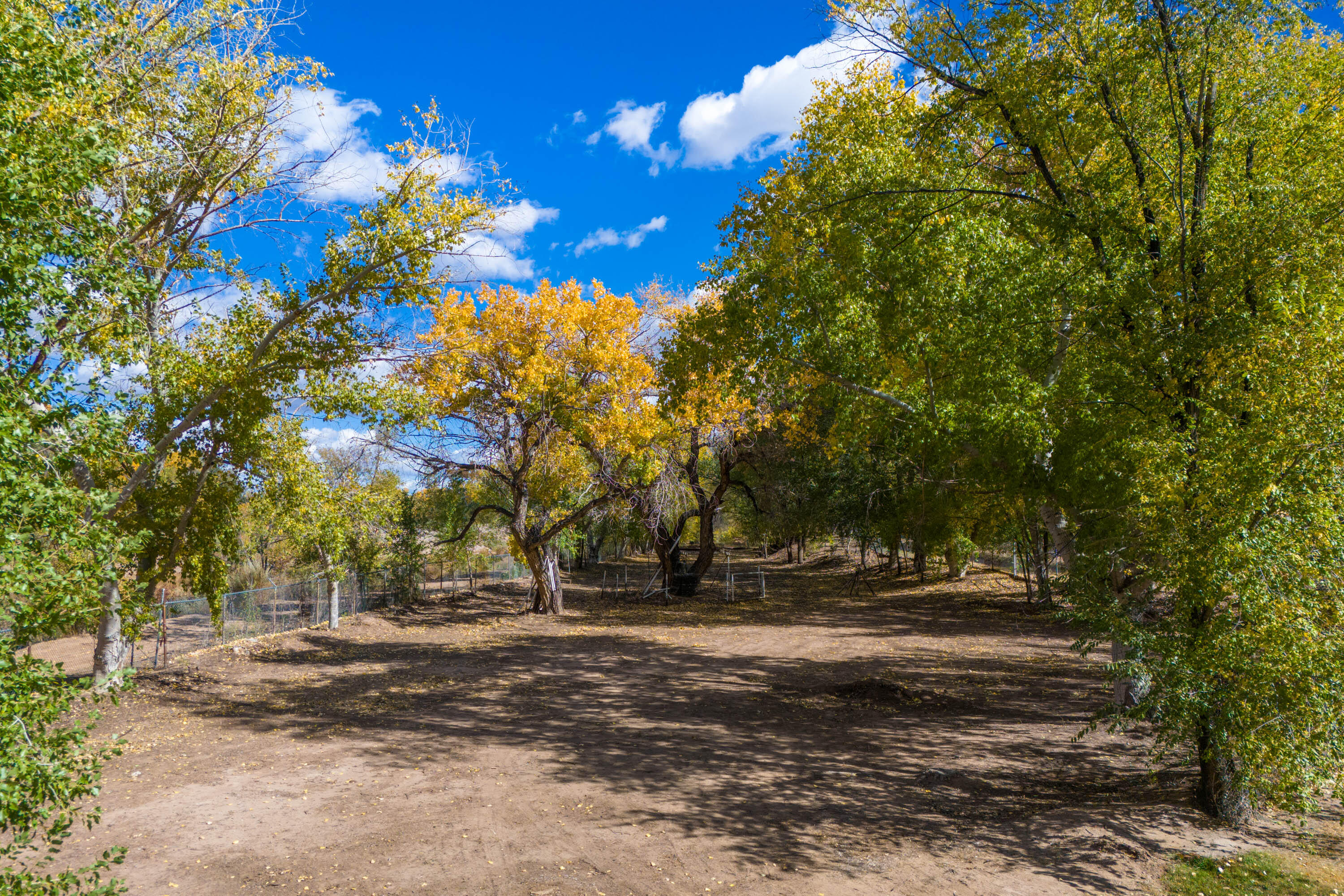 7017 Rio Grande Boulevard NW