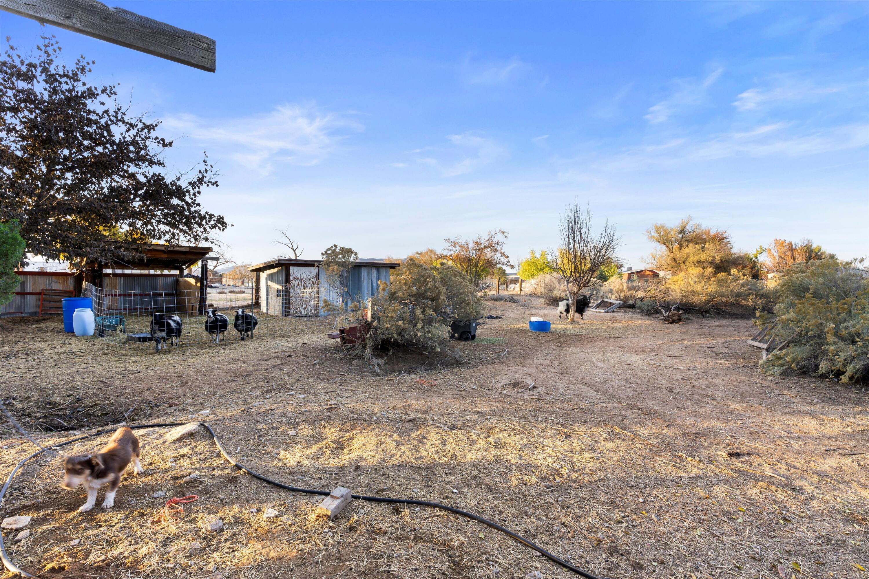 1568 MichaelAnn Drive