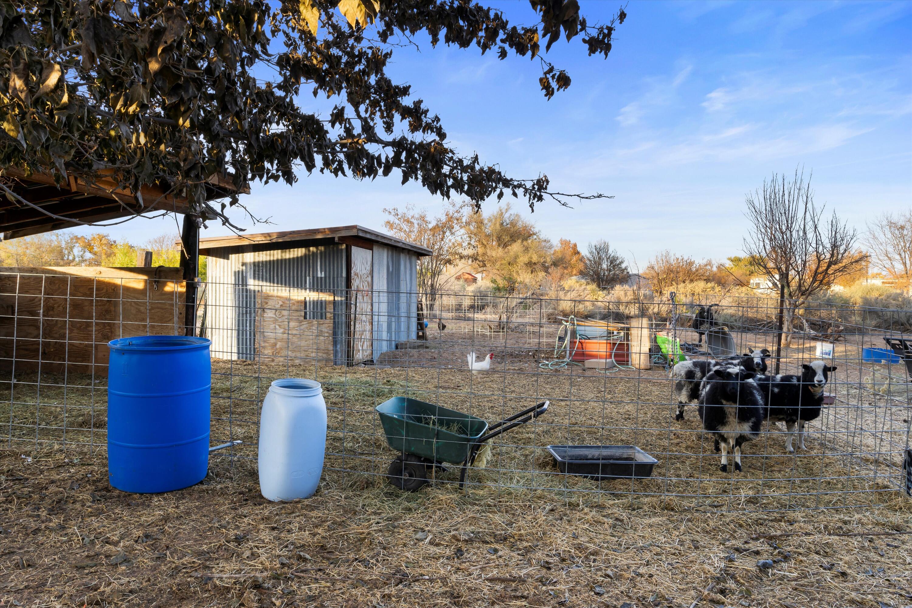 1568 MichaelAnn Drive