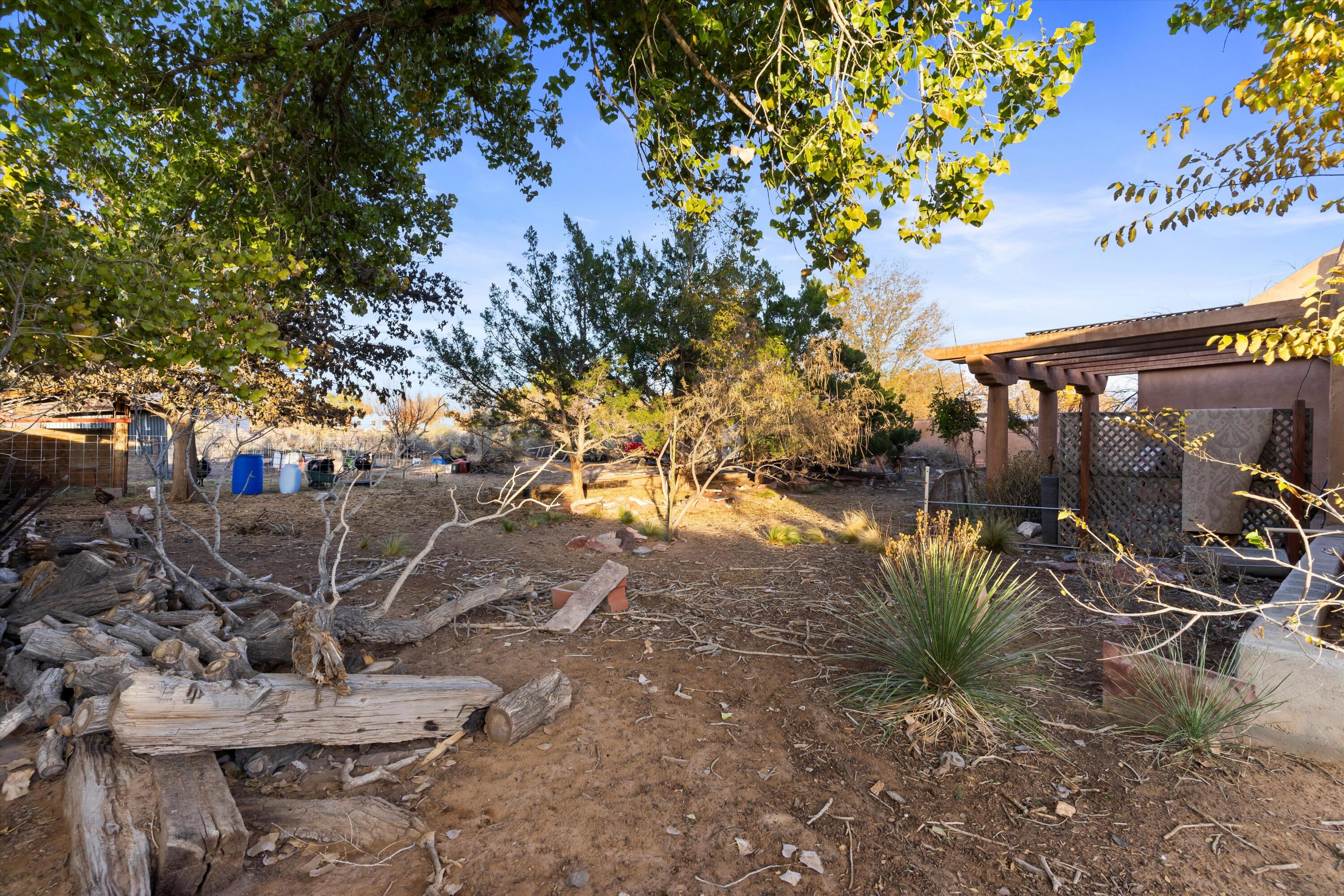 1568 MichaelAnn Drive