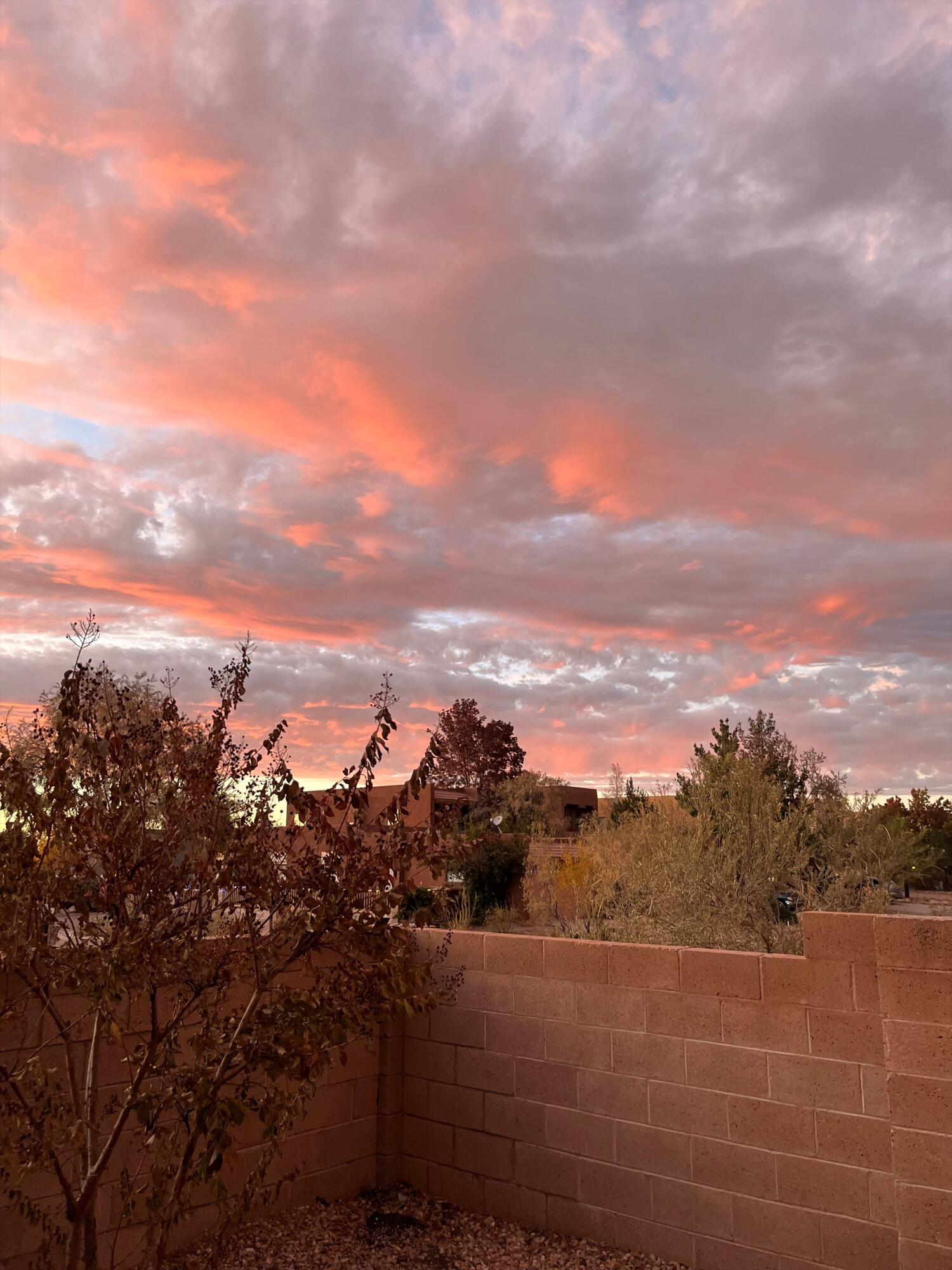 2141 COYOTE WILLOW Avenue NE