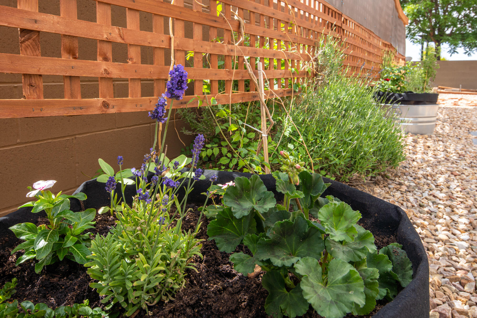 6124 SANTA FE TRAIL Drive NE