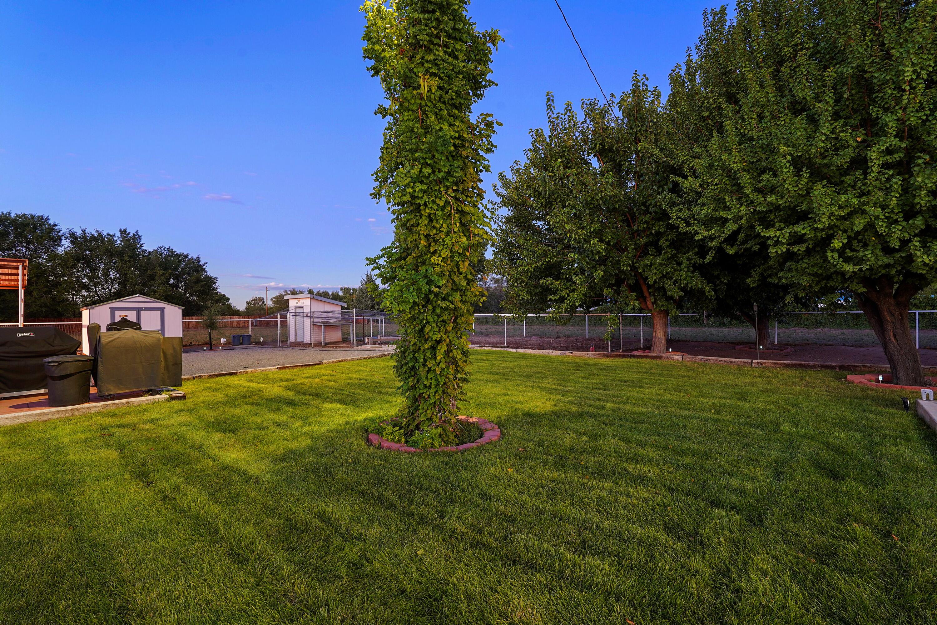 3 OLIVE TERRACE Drive