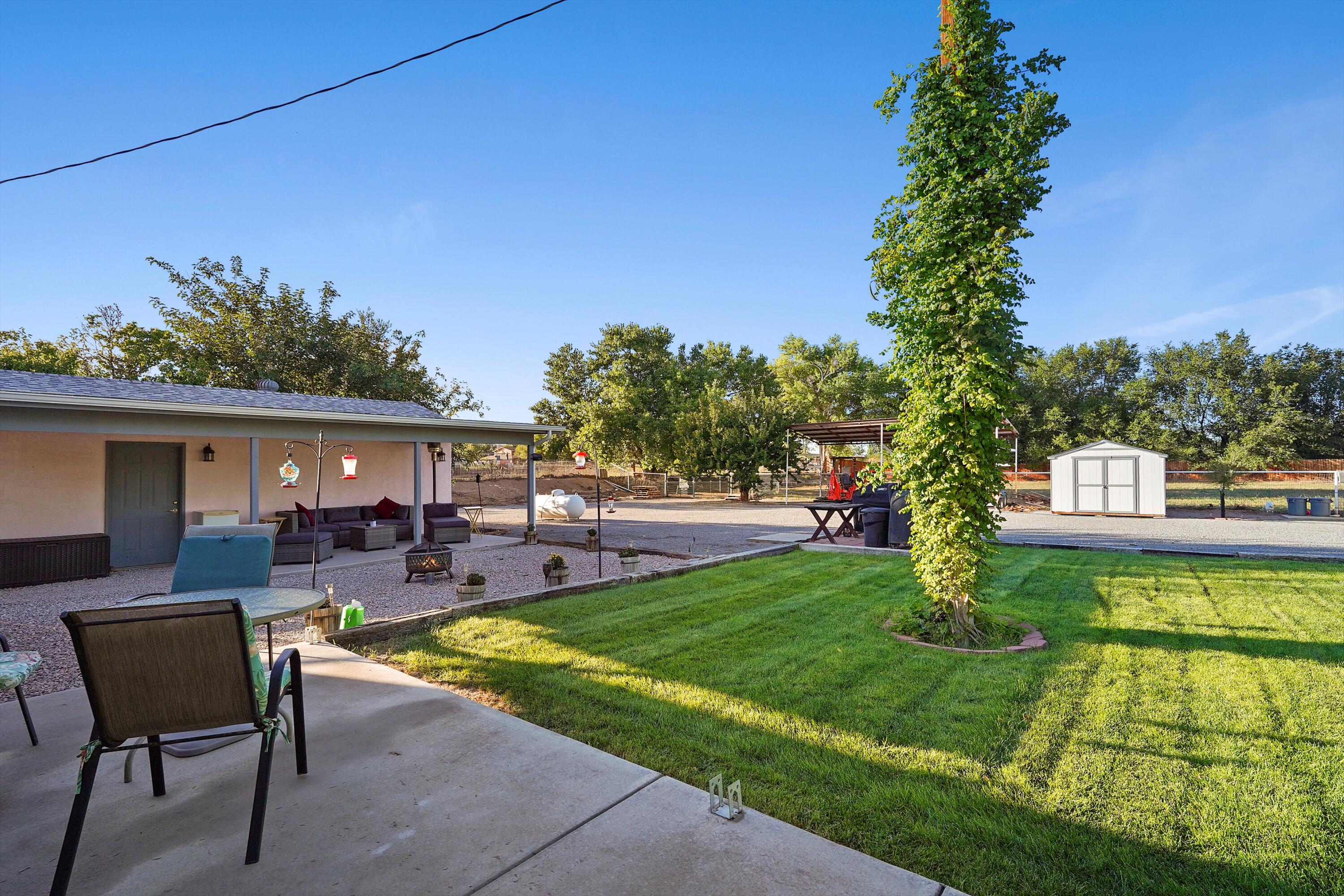 3 OLIVE TERRACE Drive