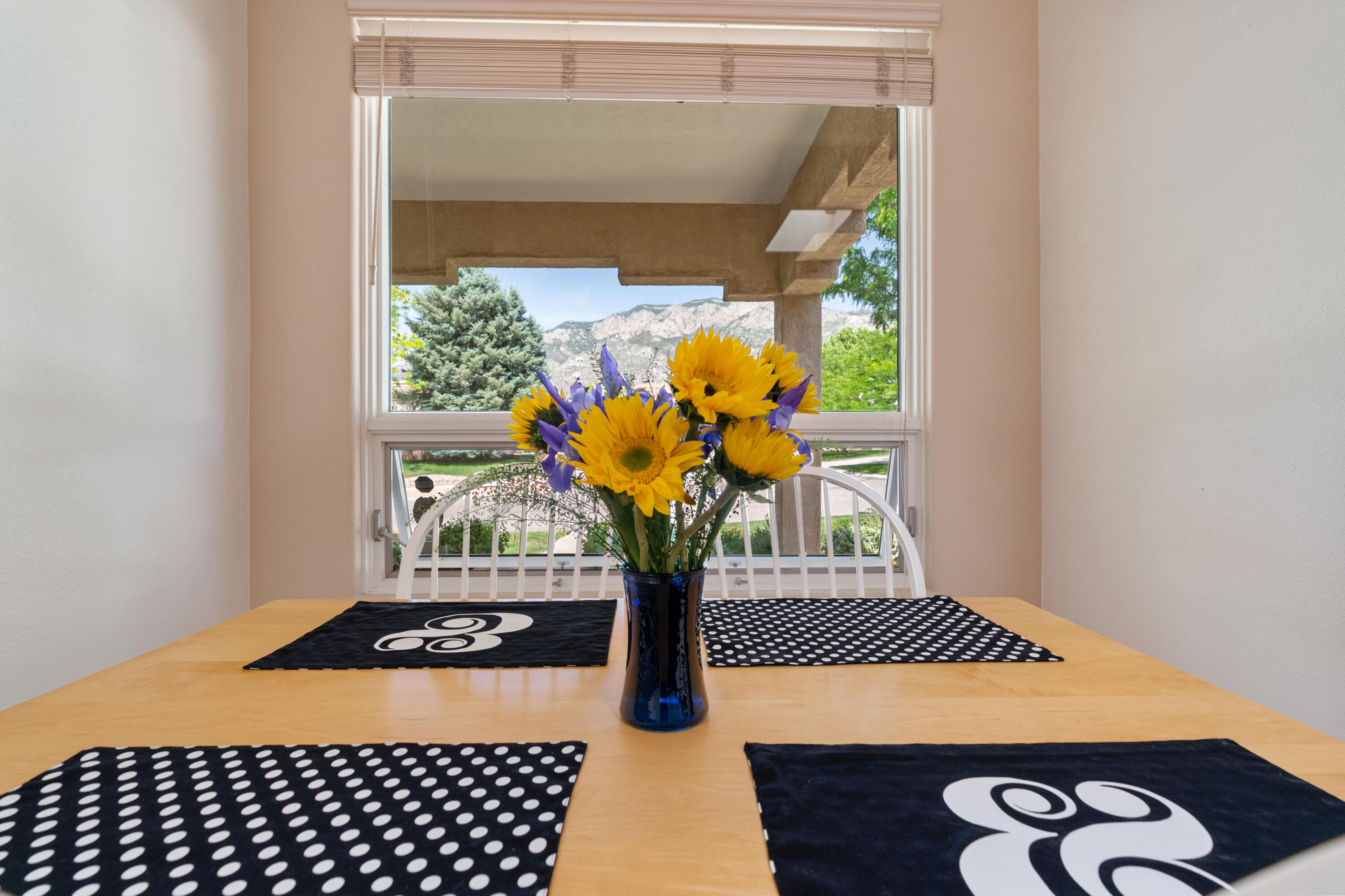 12116 Coral Dawn Road