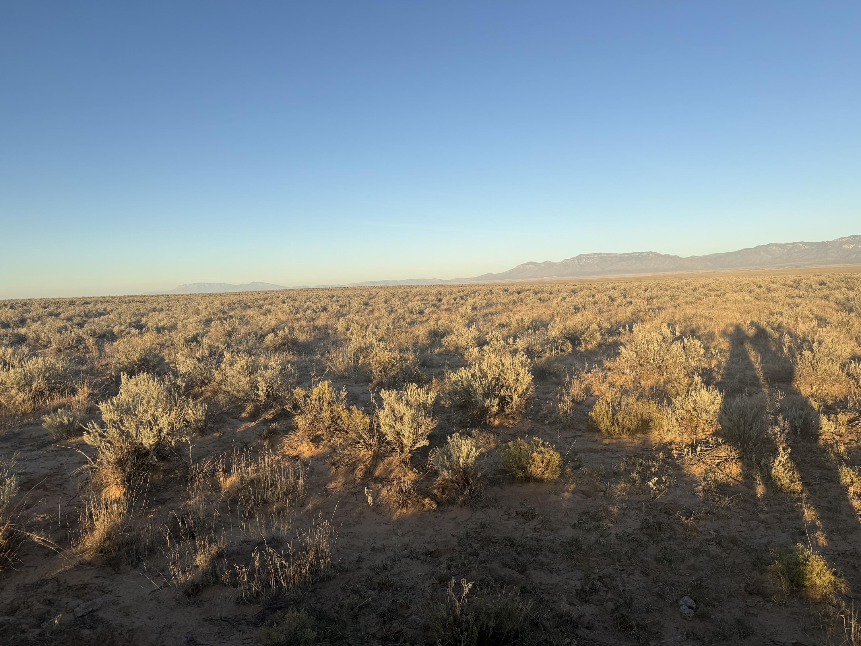 Block 1415 Rio Grande Estate Lot 12,13,14