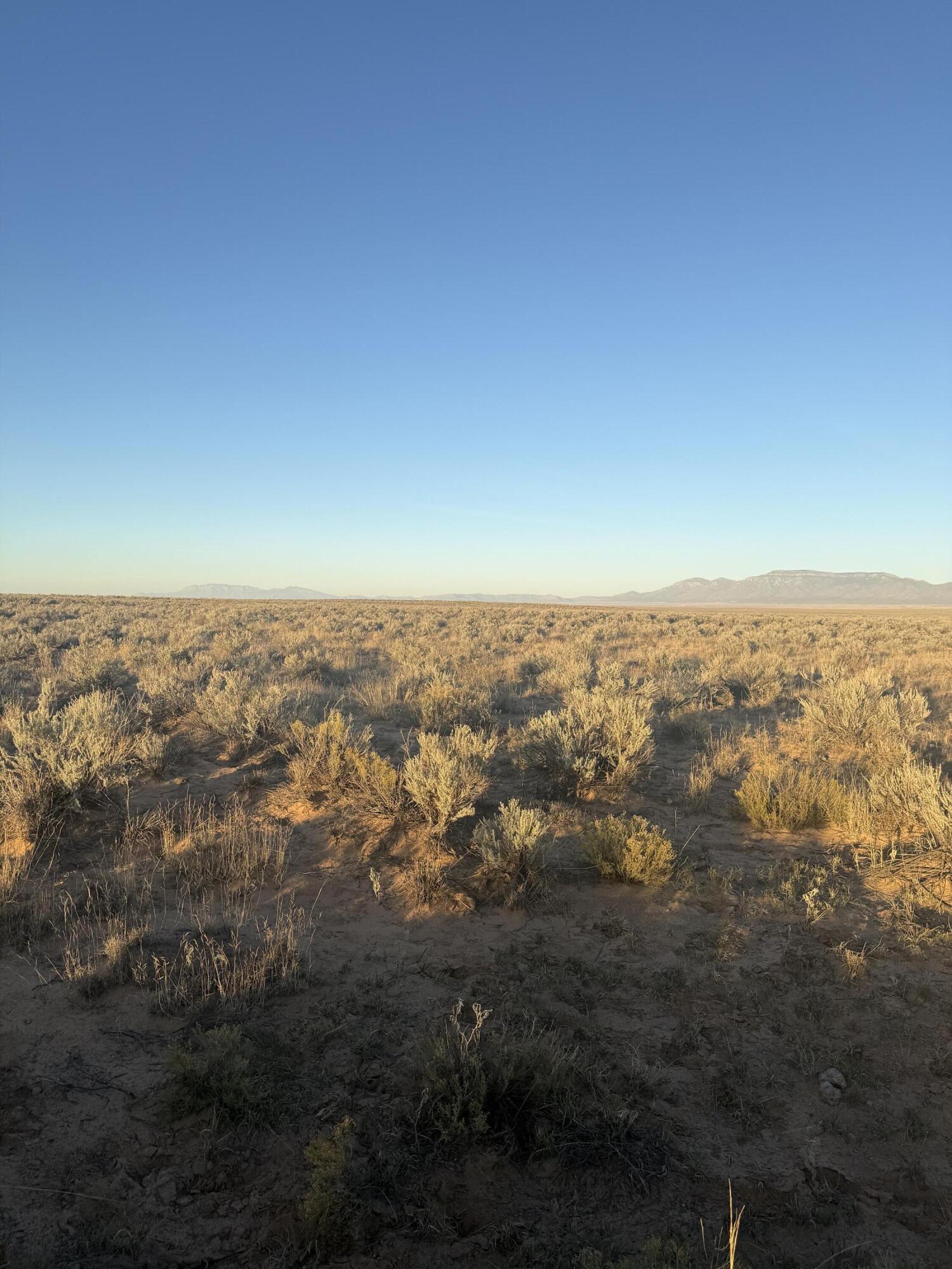 Block 1415 Rio Grande Estate Lot 12,13,14