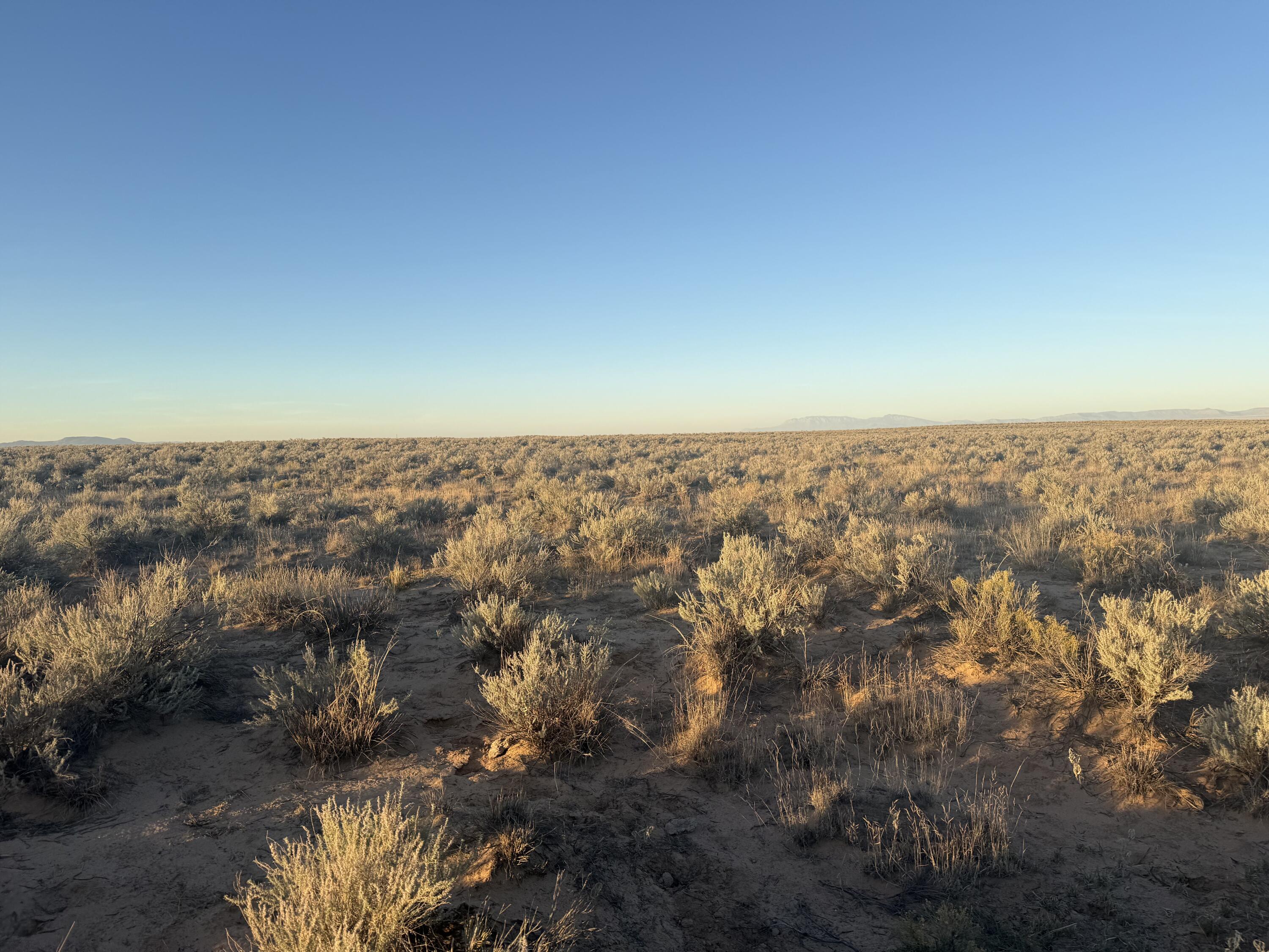 Block 1415 Rio Grande Estate Lot 12,13,14