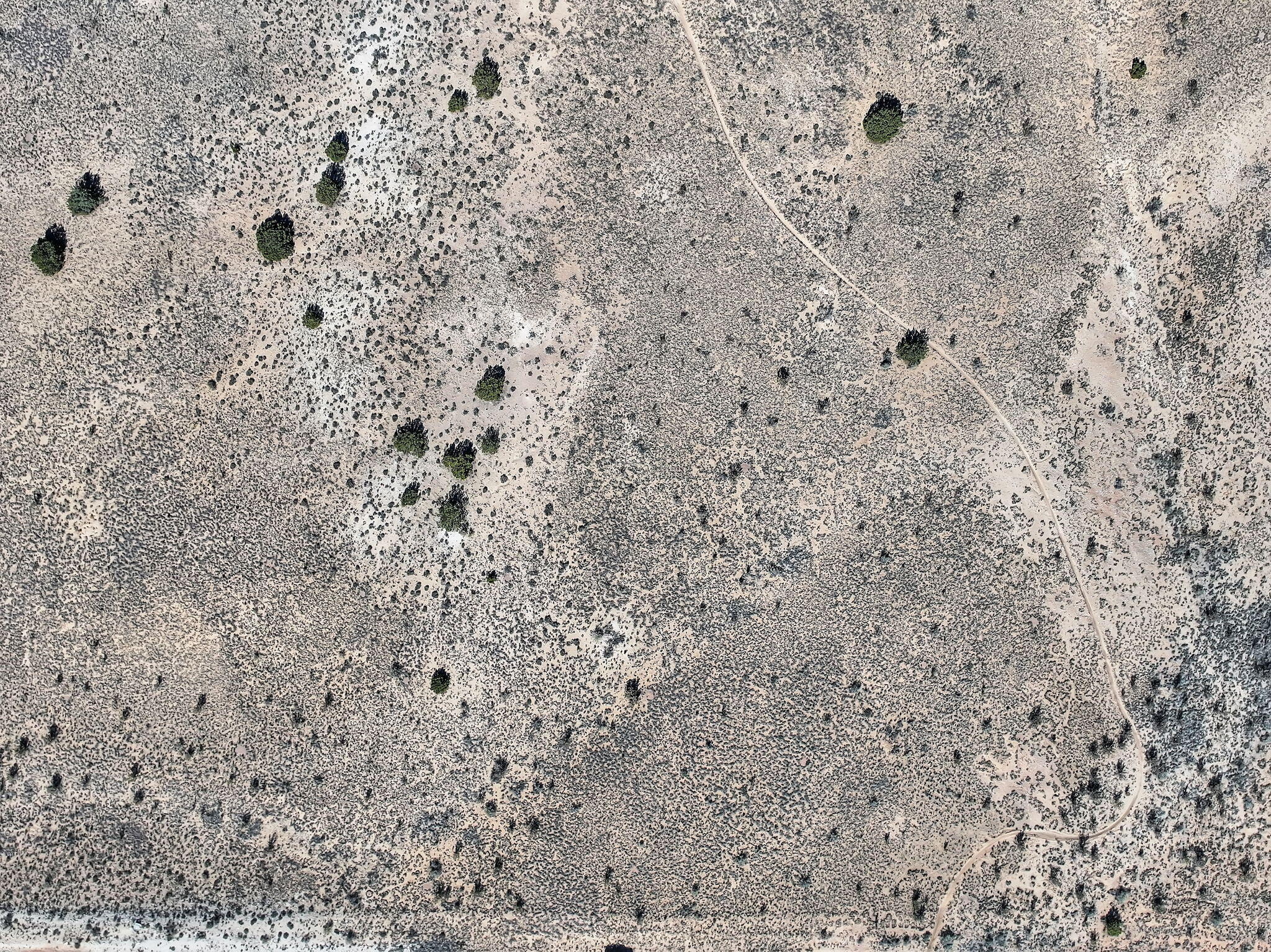 1103 Tascal Court NE