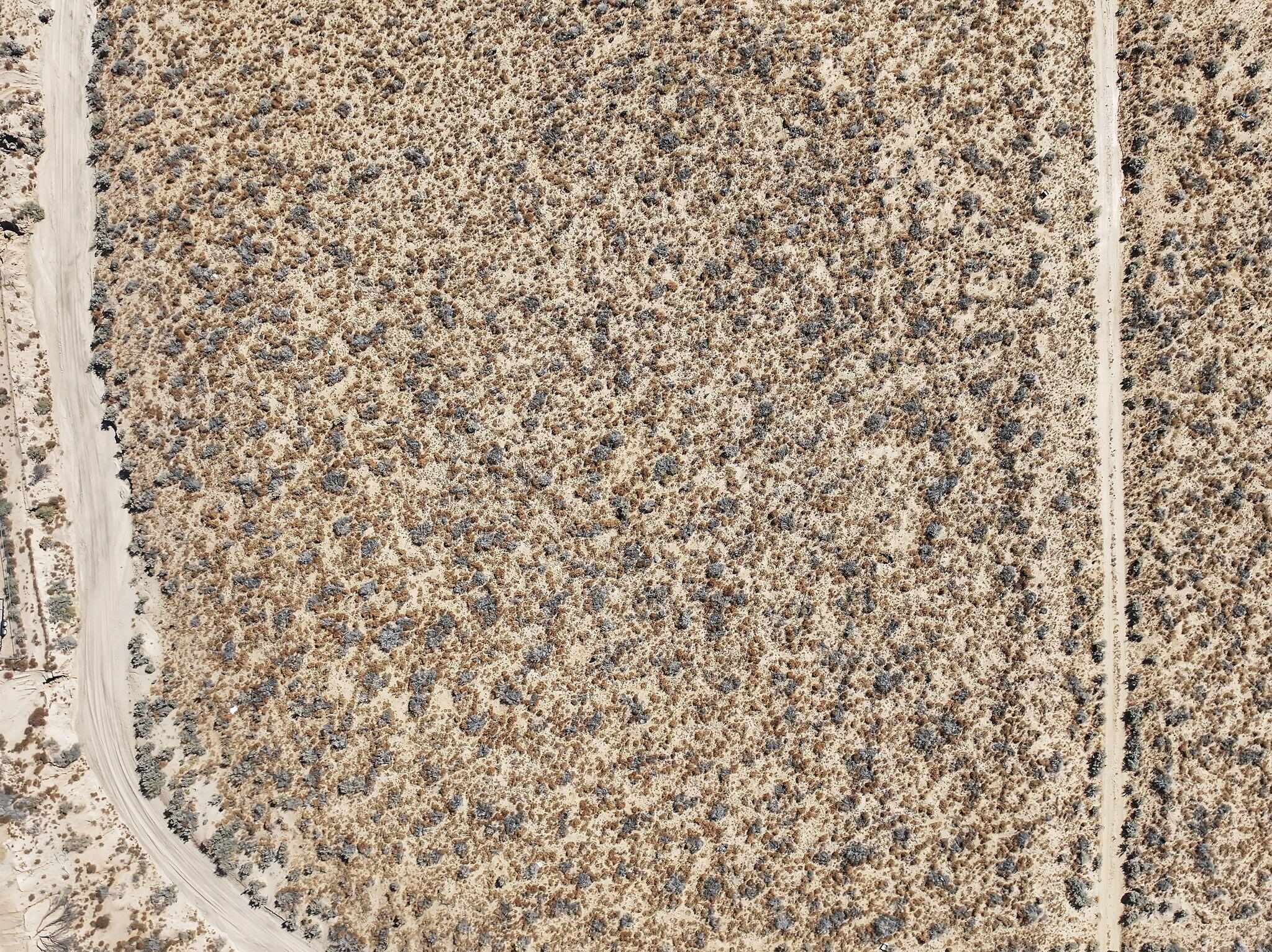 1205 Ventura Road SE