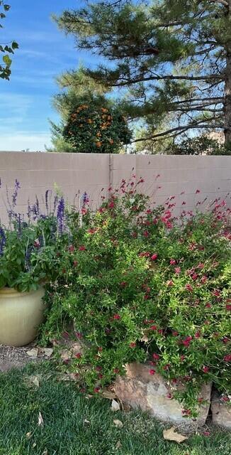 6123 Casa De Vida NE