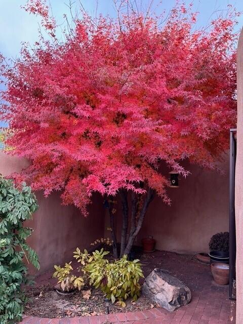 6123 Casa De Vida NE