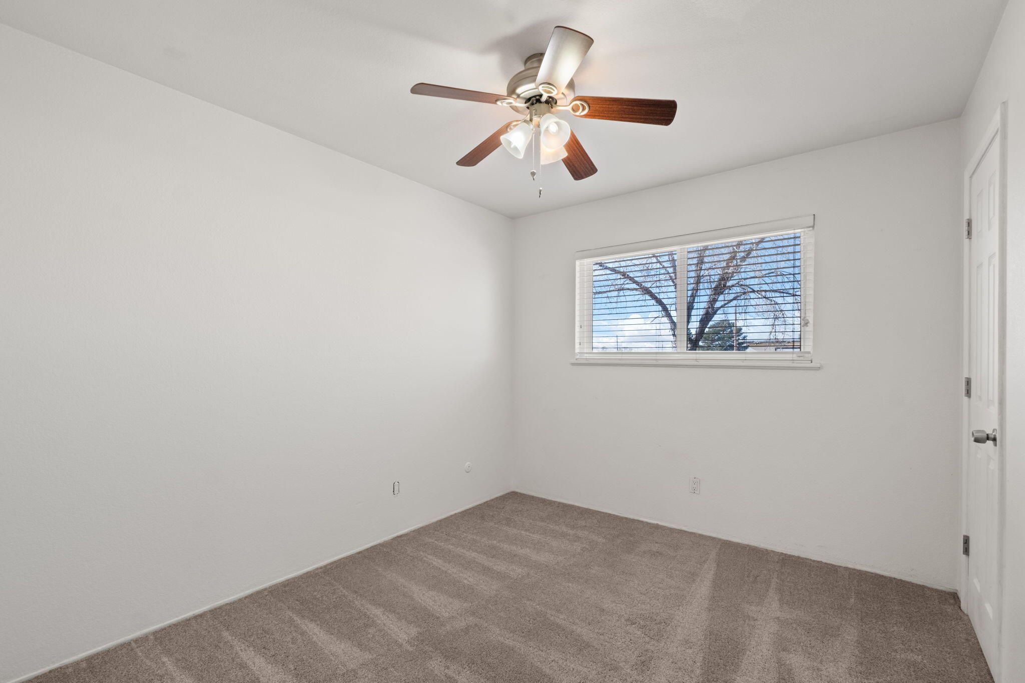 712 Shirley Street NE