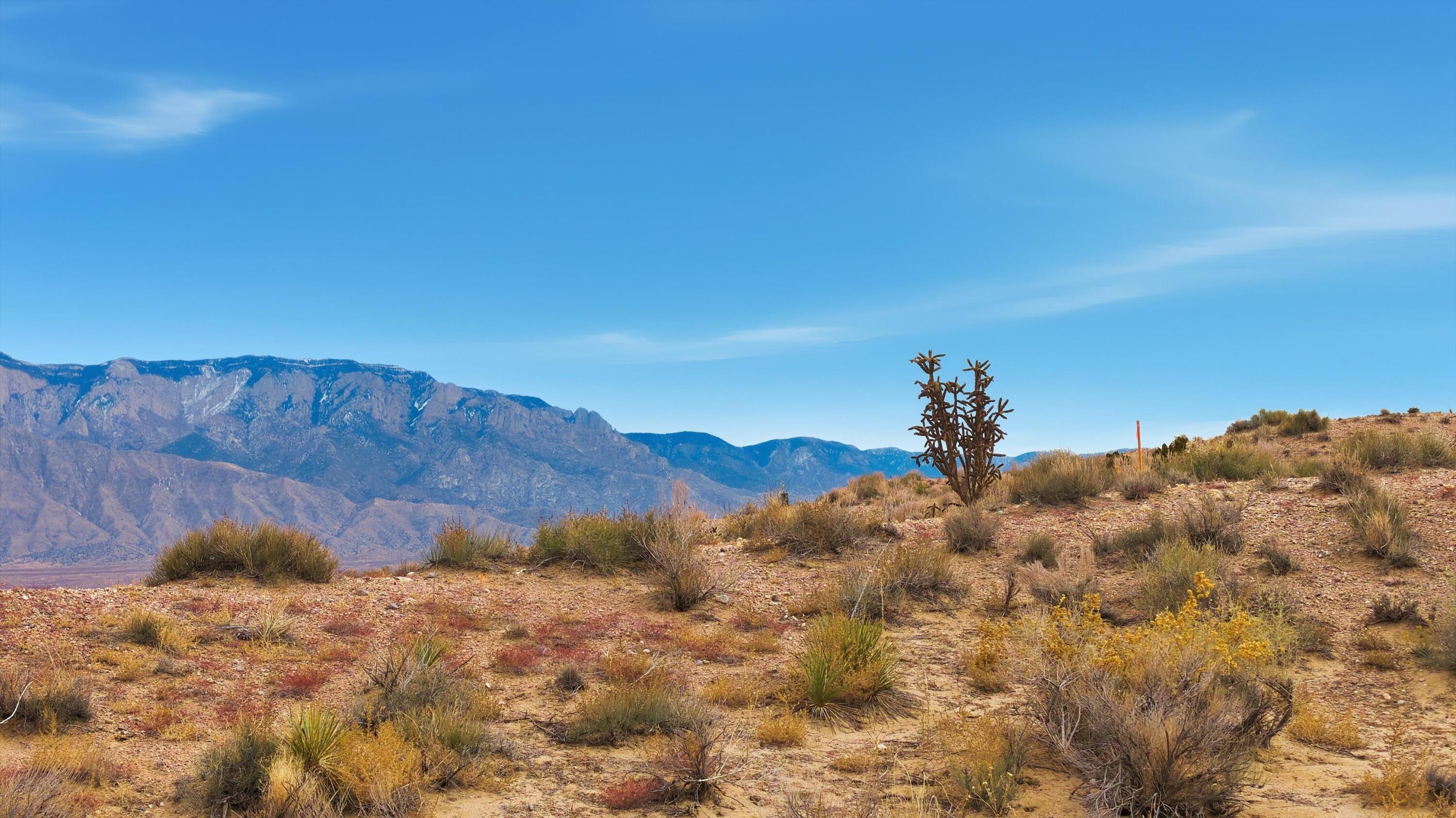 Doe Ct (Lt 10B, B 143, U 13) NE