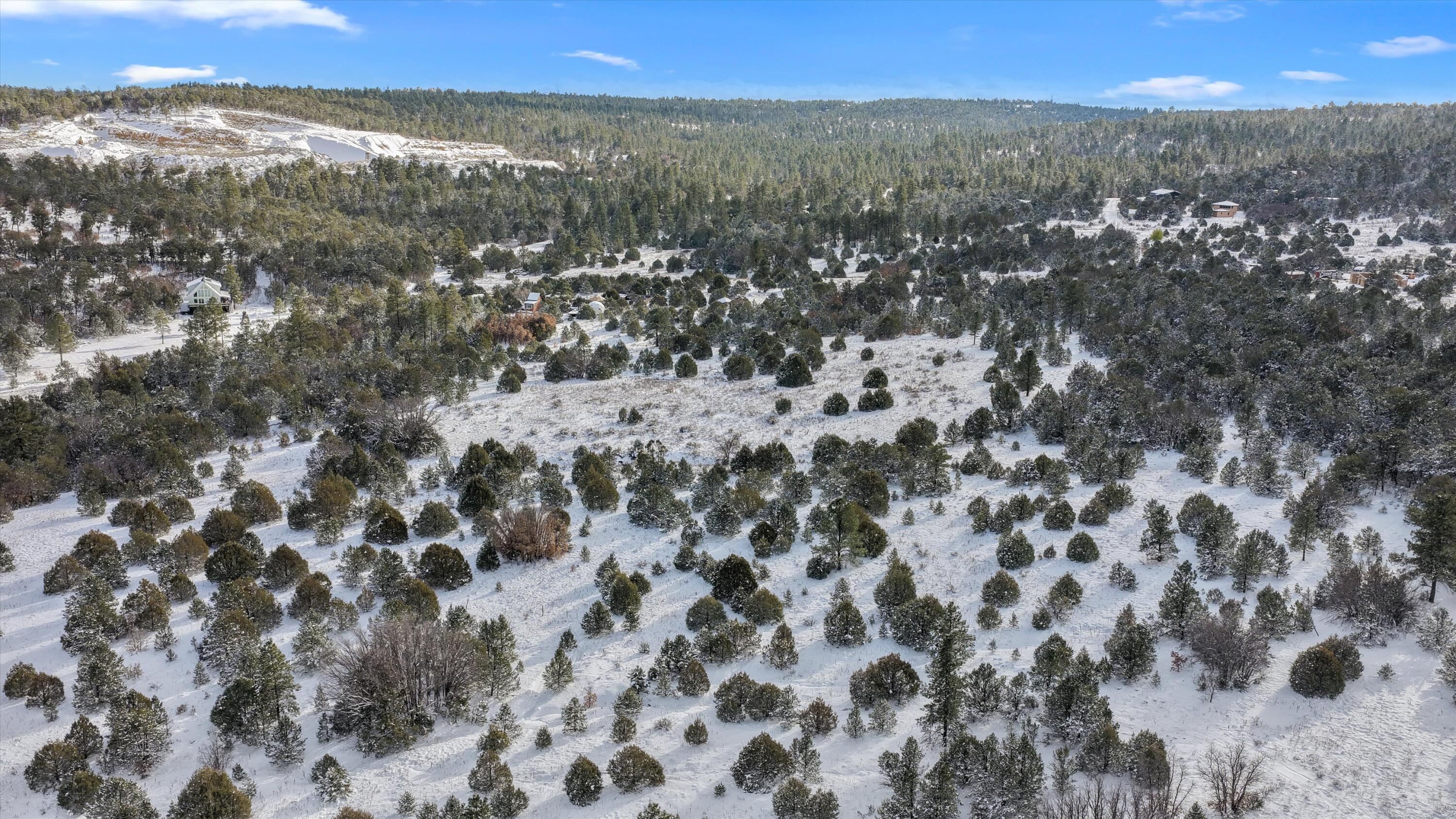 12 Moots Court