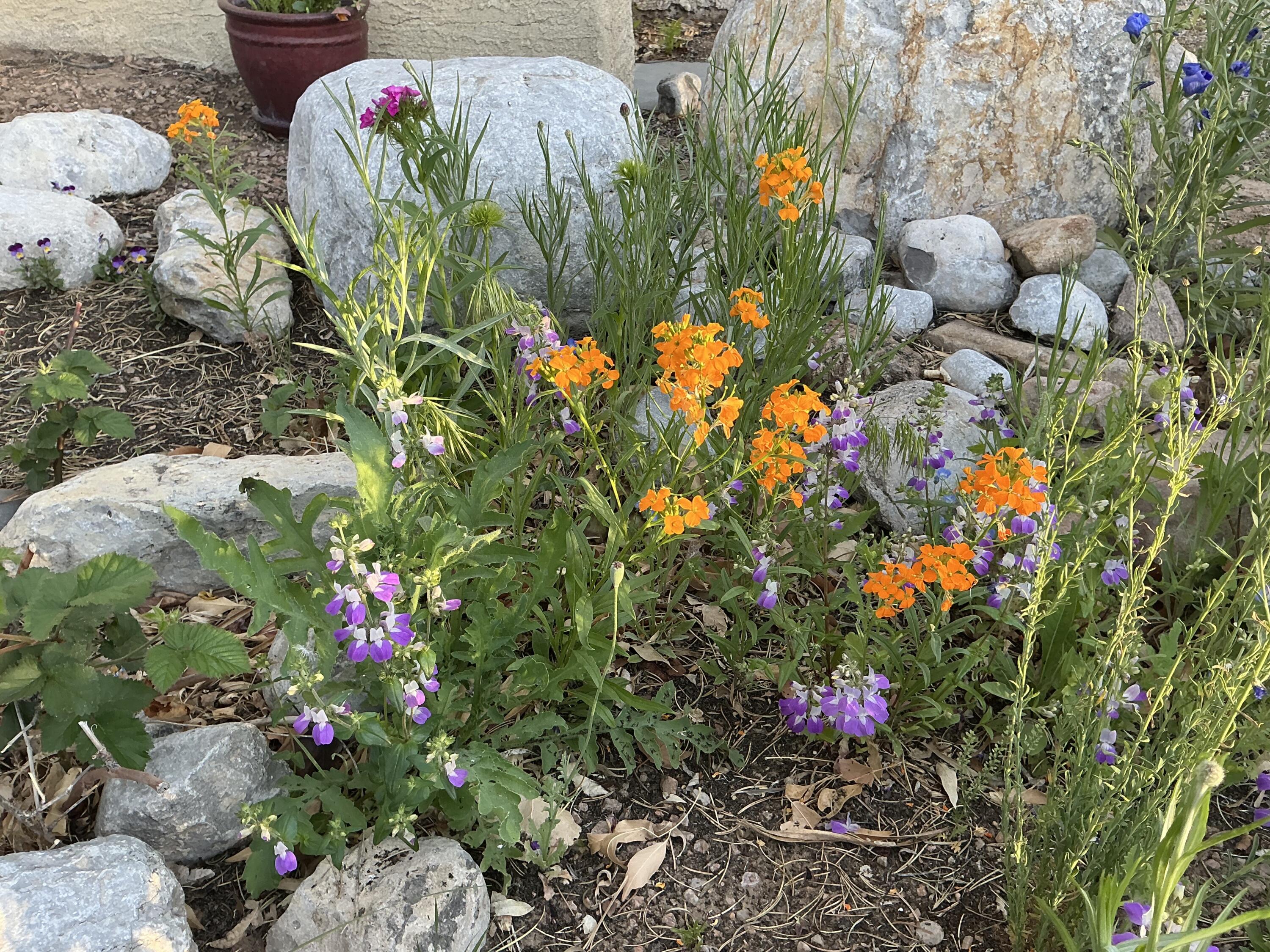 5501 Kachina Street NW