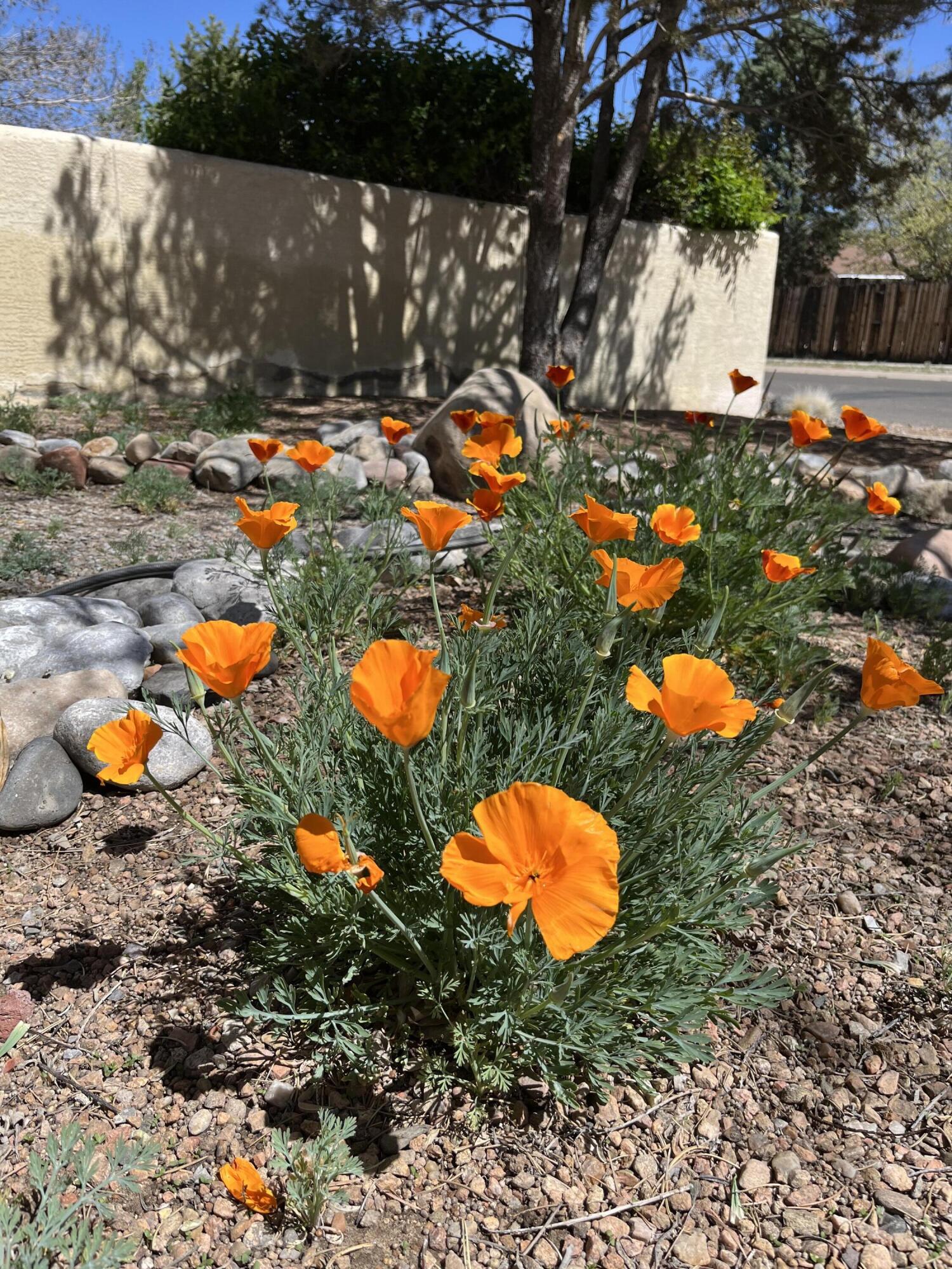 5501 Kachina Street NW