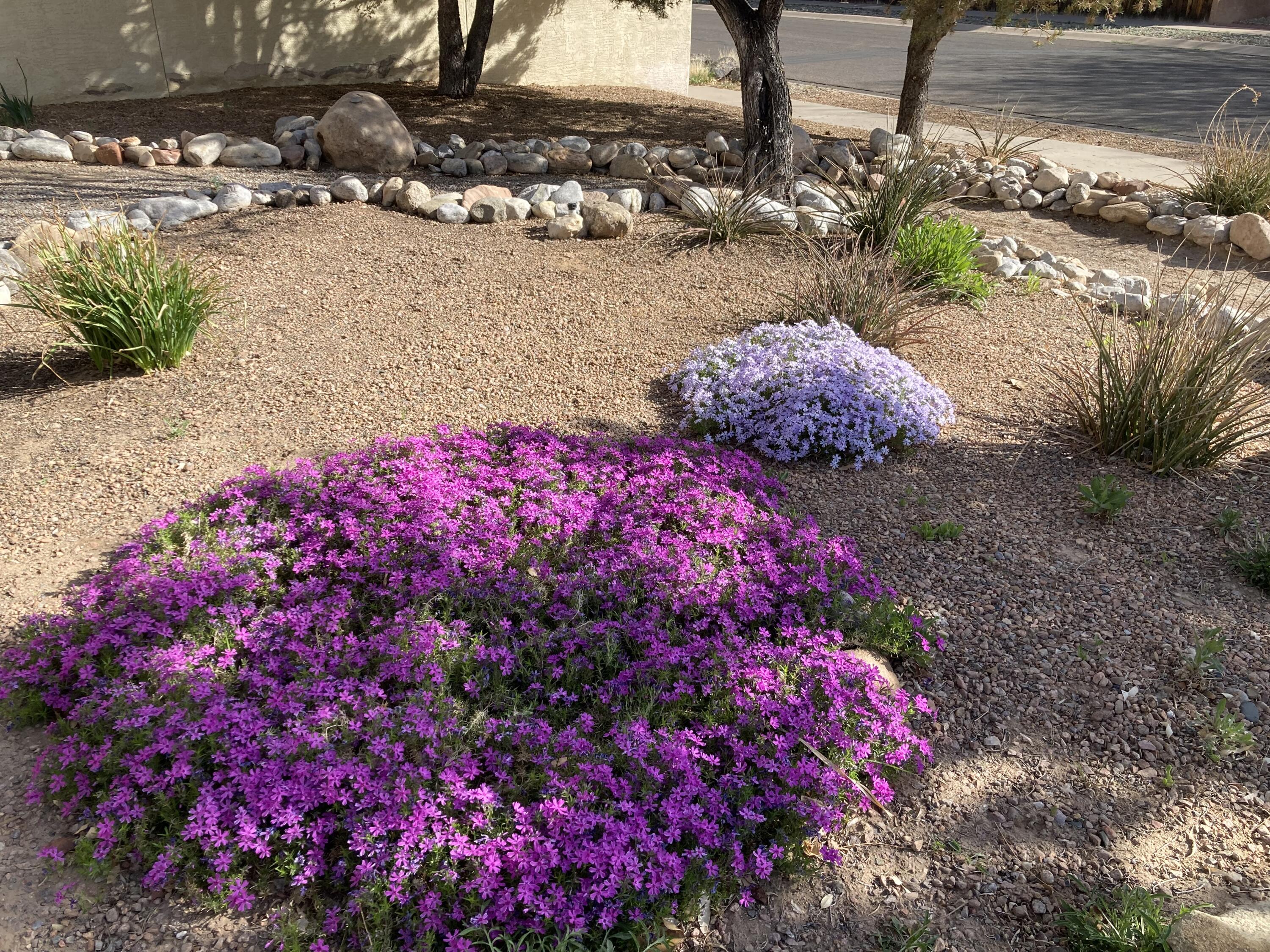 5501 Kachina Street NW