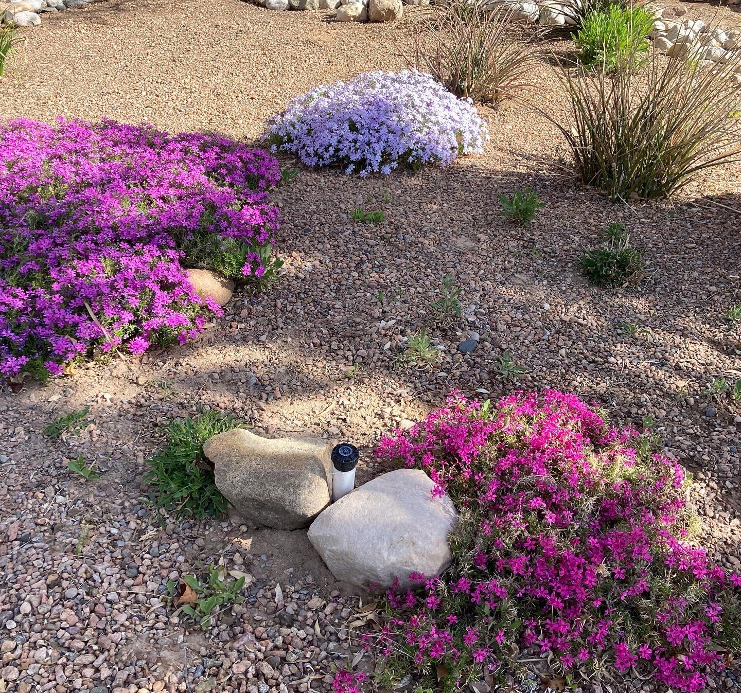 5501 Kachina Street NW