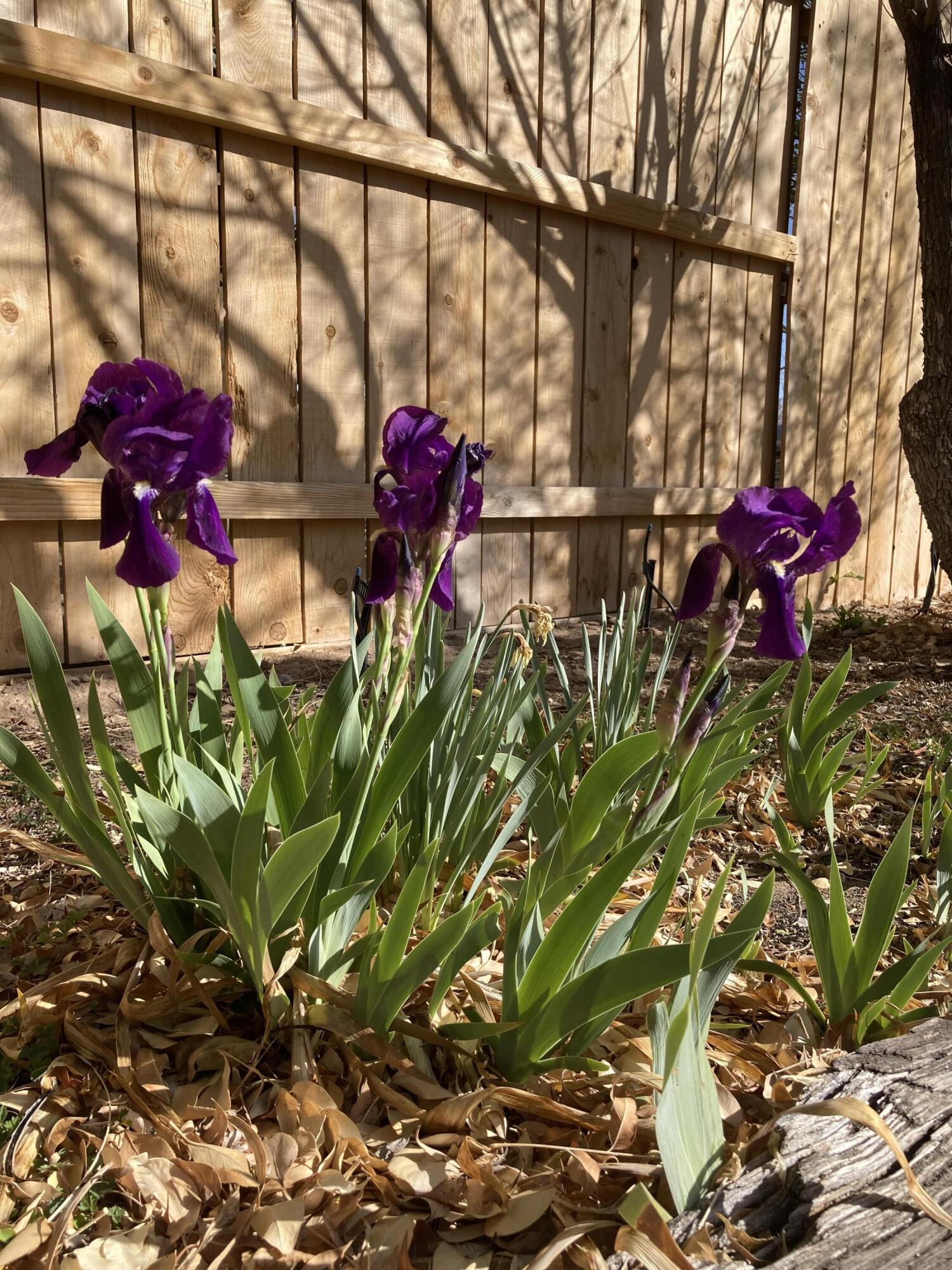 5501 Kachina Street NW