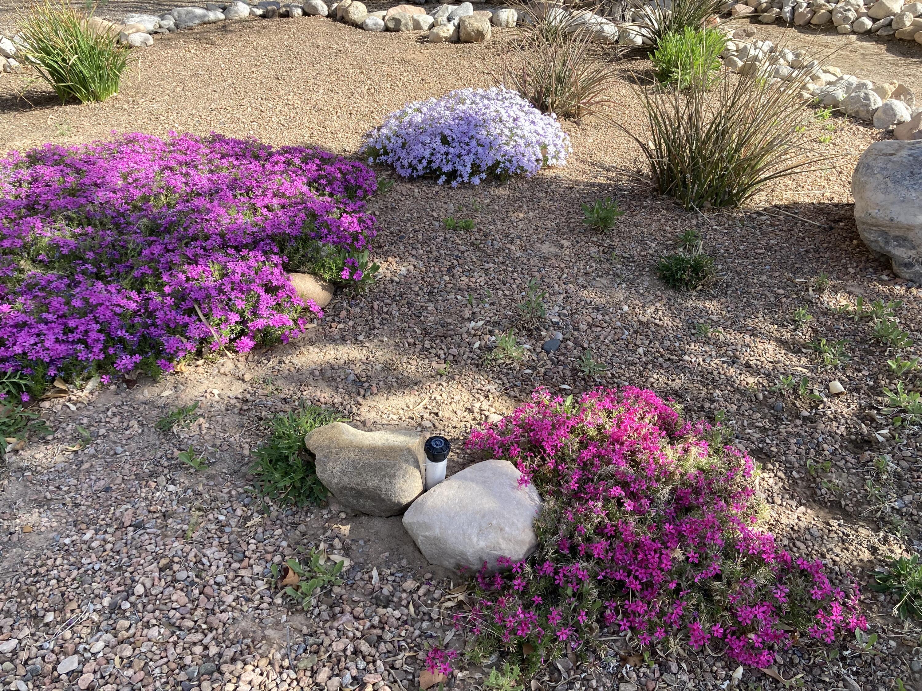 5501 Kachina Street NW