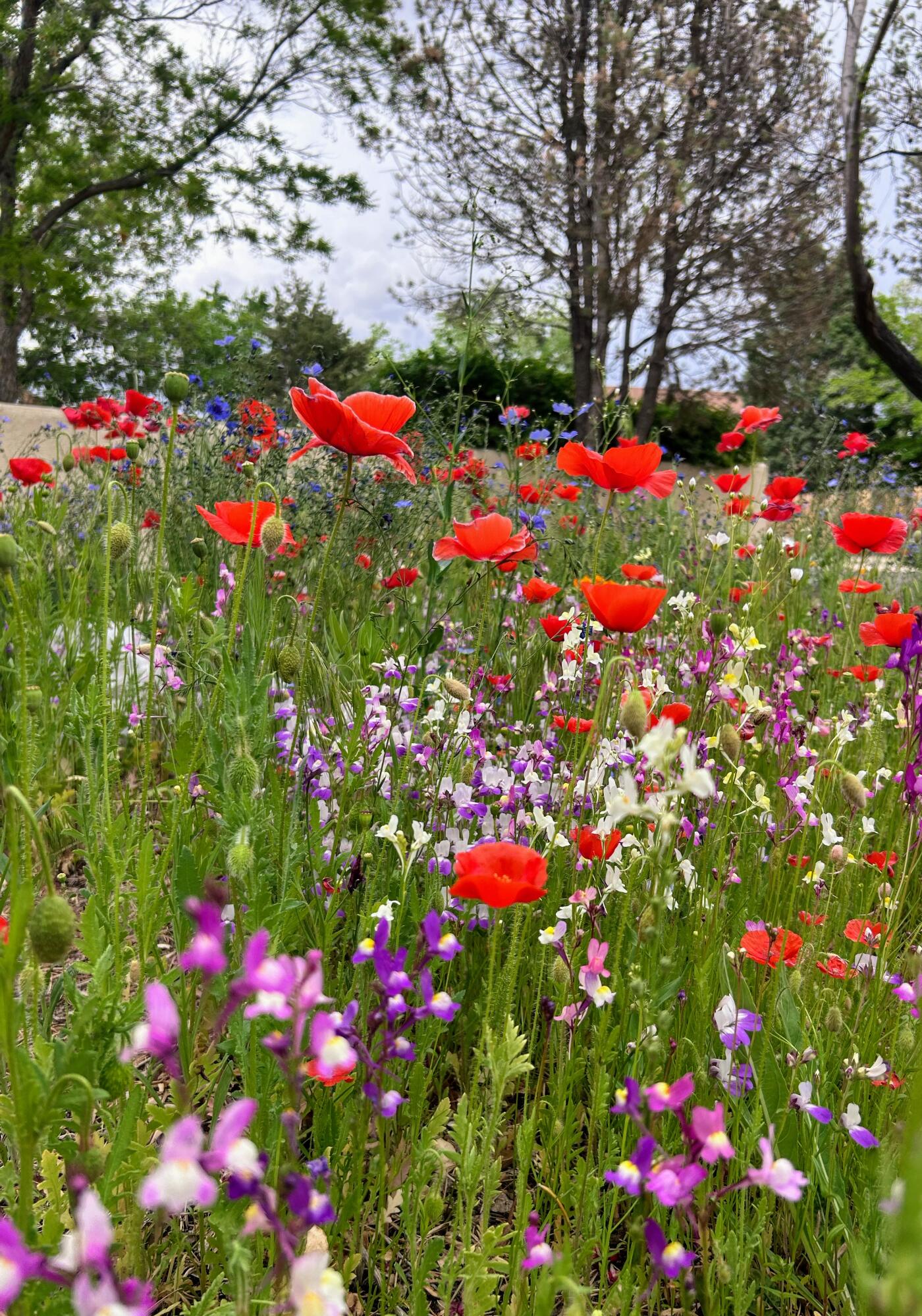 5501 Kachina Street NW