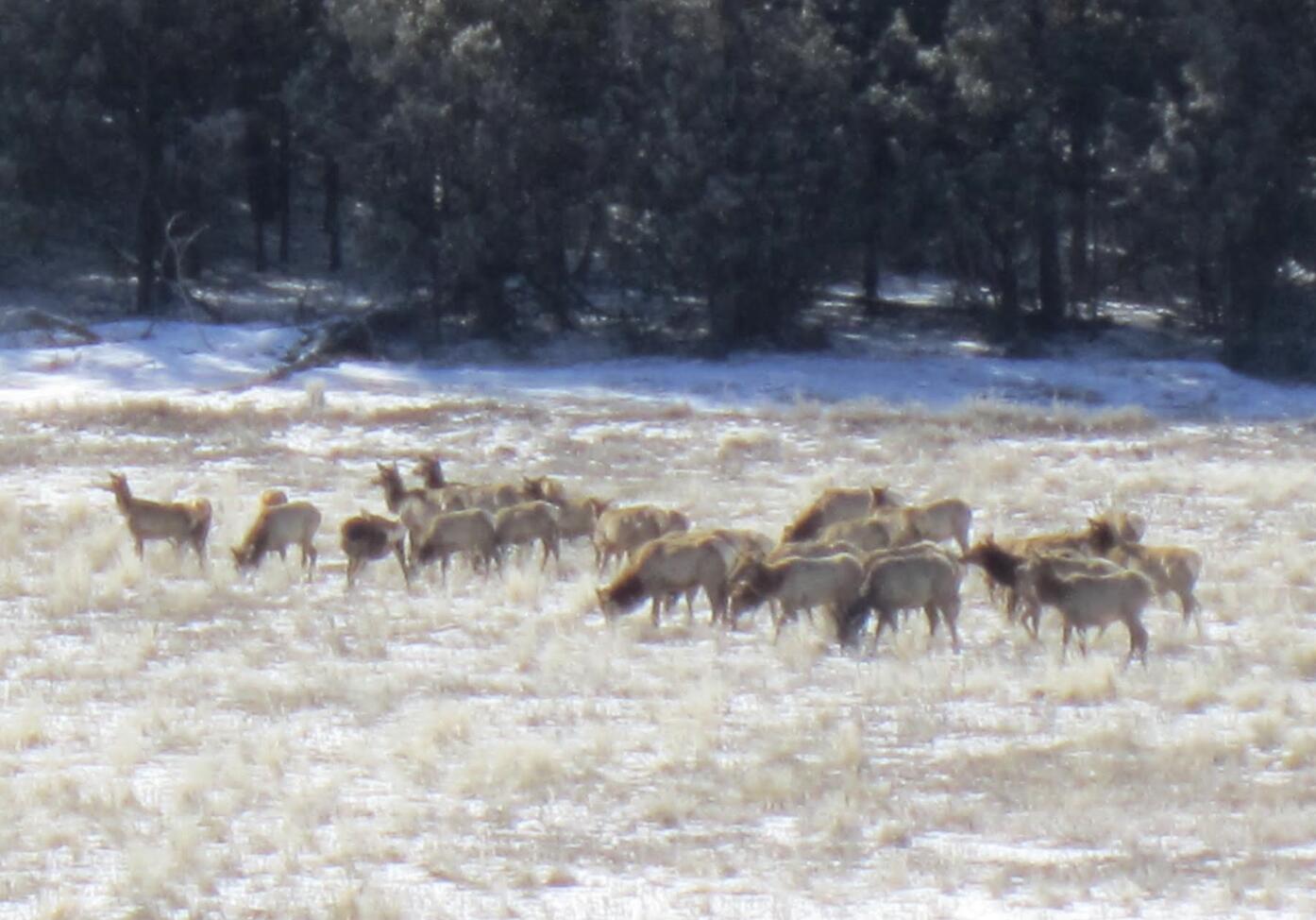 36 Albers Valley Road