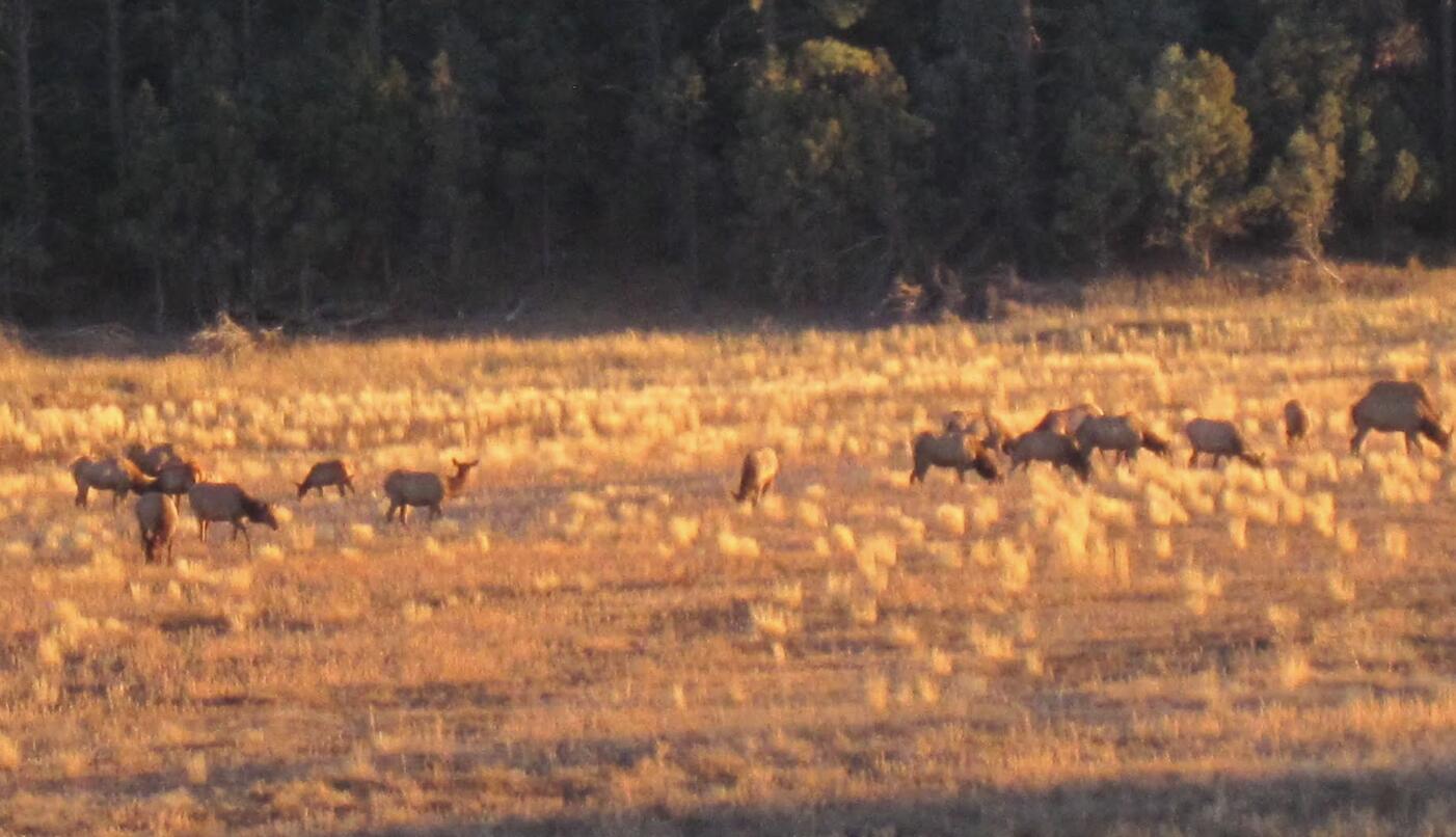 36 Albers Valley Road