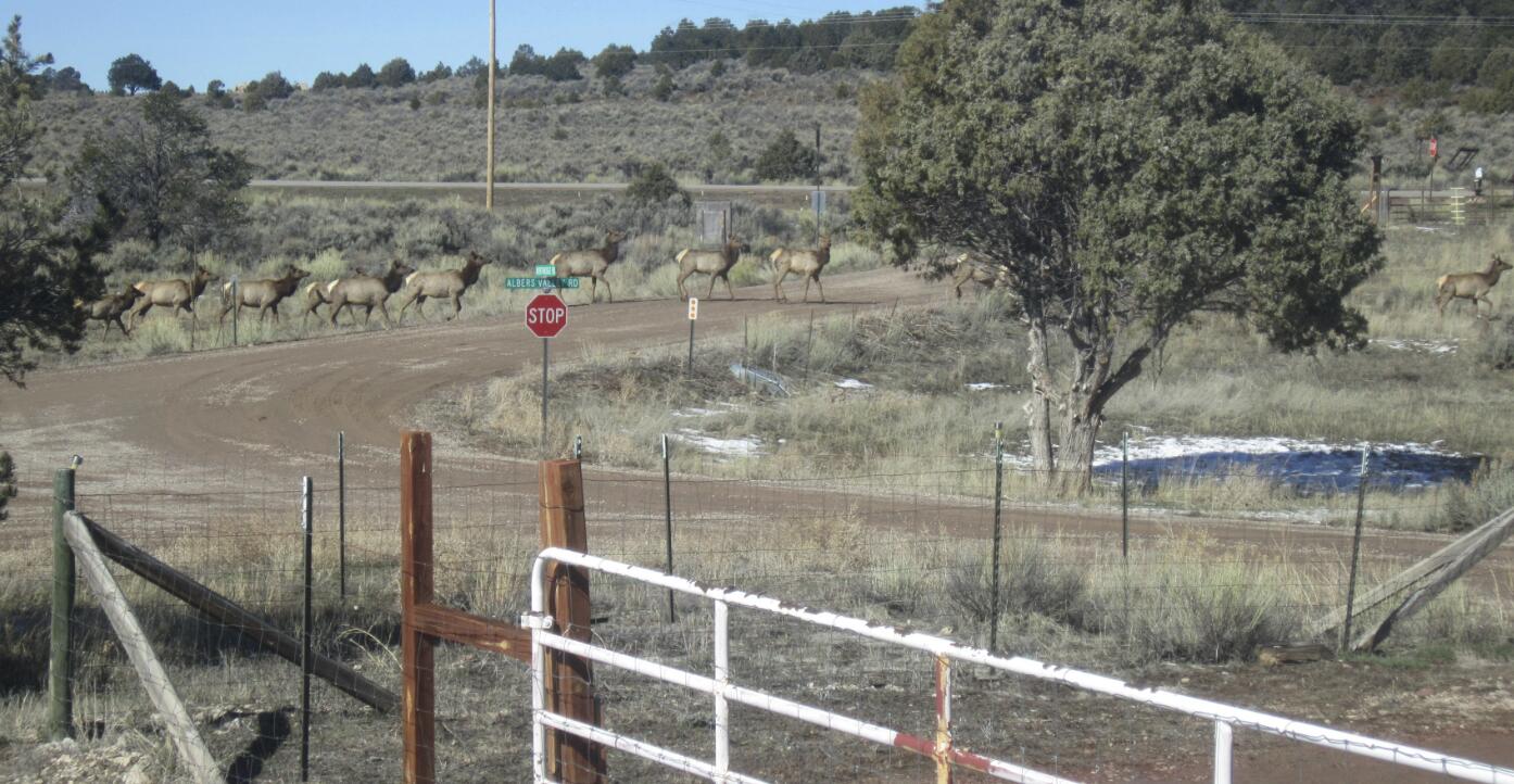 36 Albers Valley Road