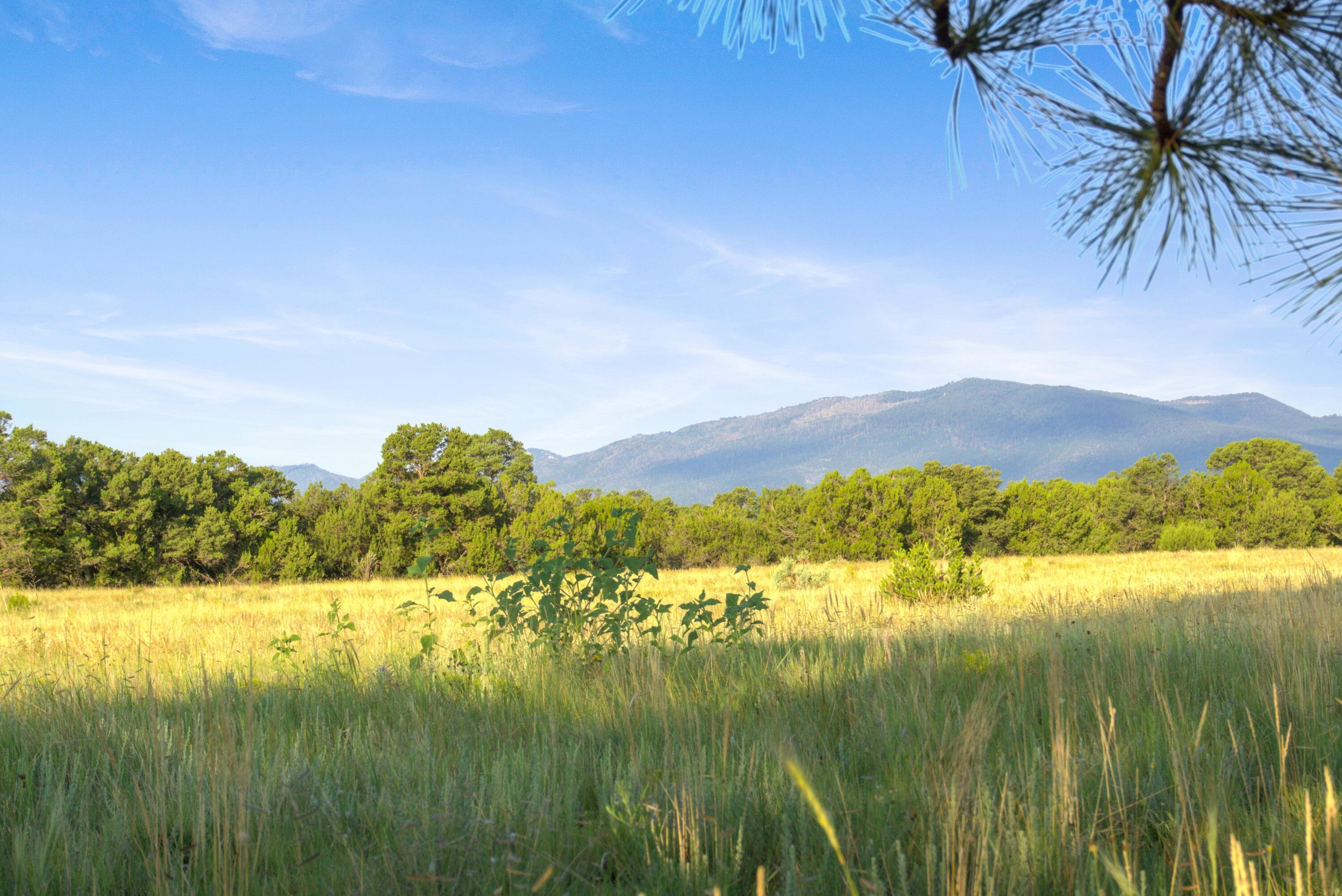 Subd: TORREON GRANT Tract: A-1