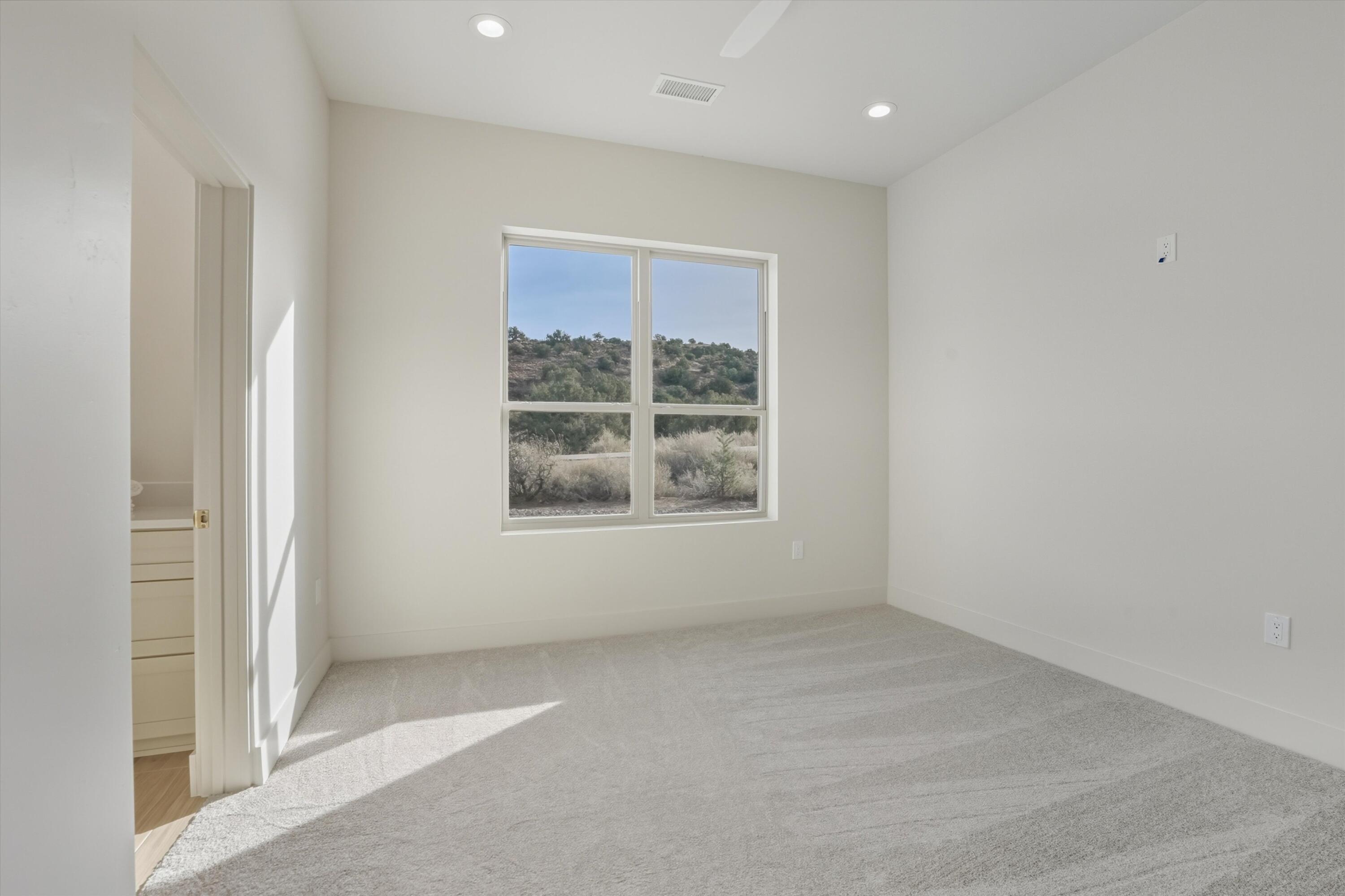 323 Purple Aster Road