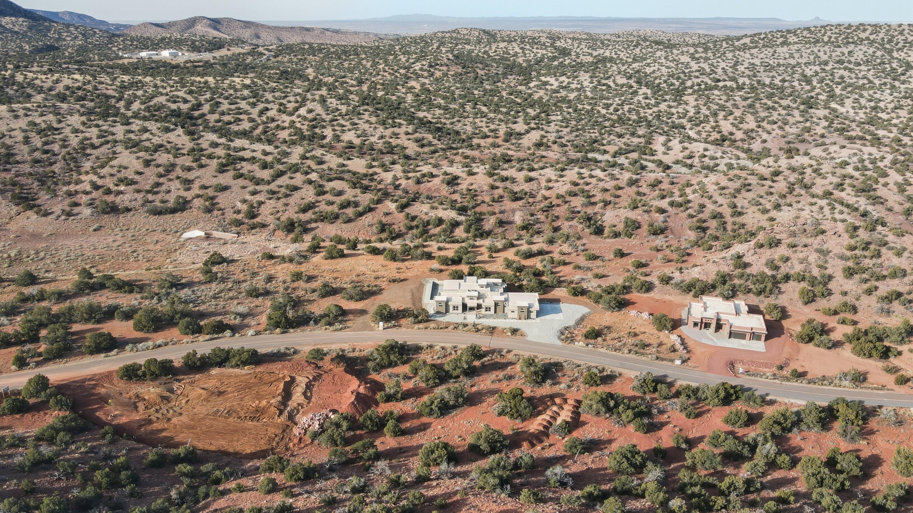 323 Purple Aster Road