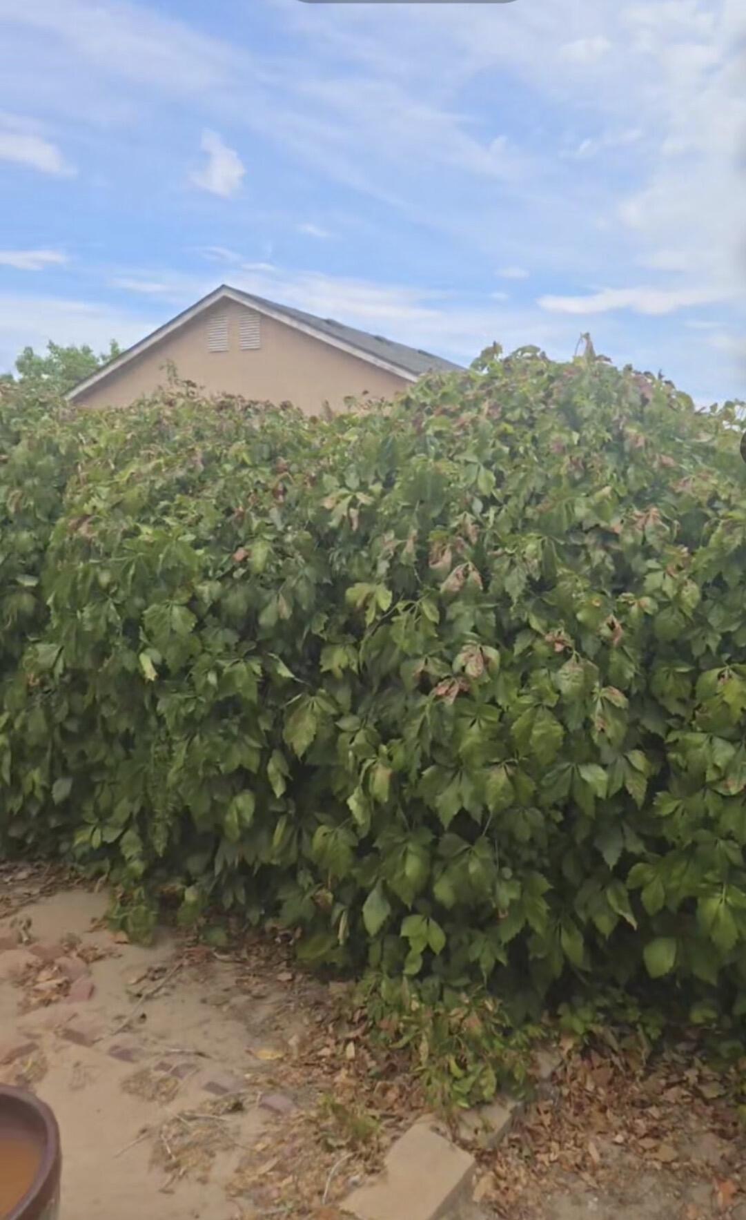 1328 Ojo Sarco Street SW