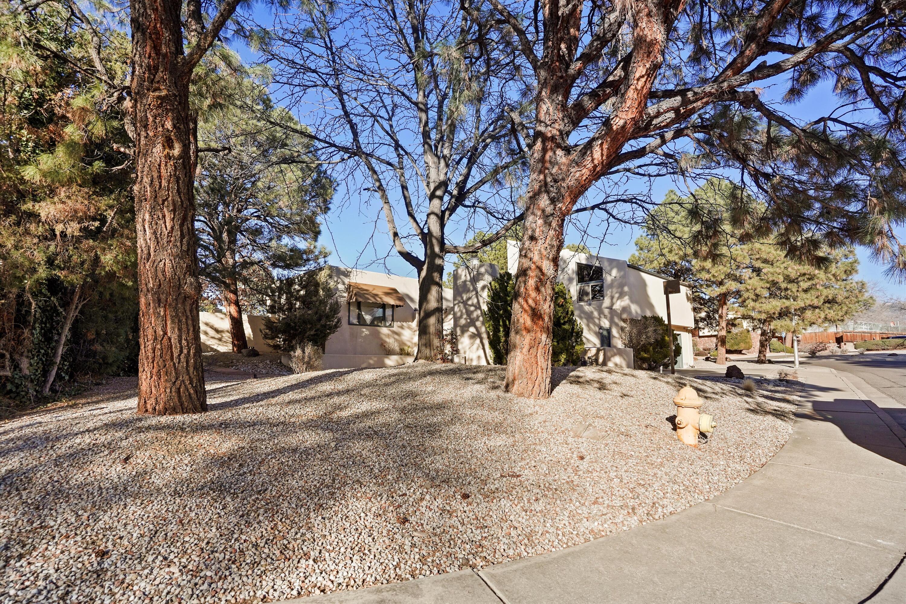 3303 La Sala Del Este NE