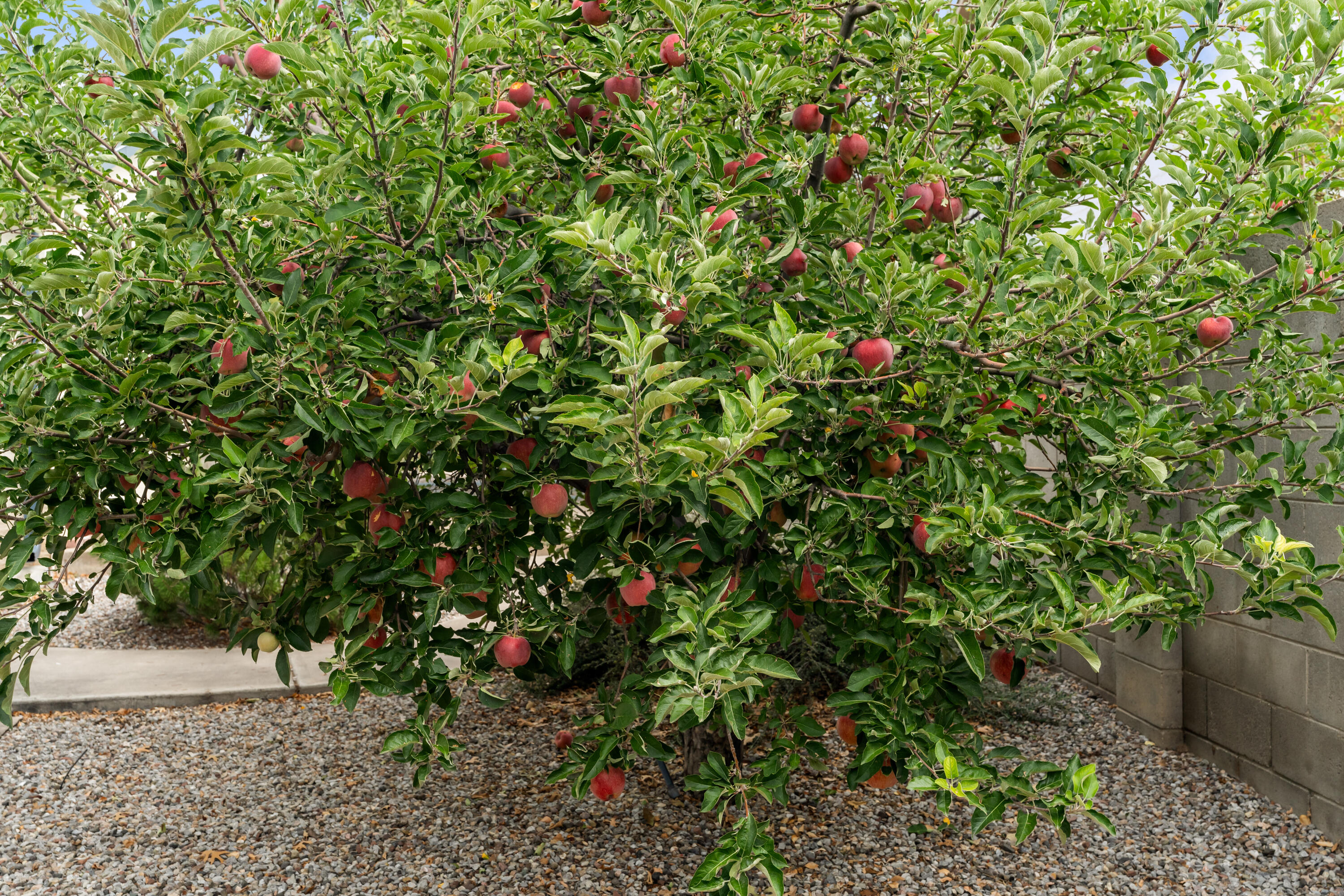 11308 Kielich Avenue NE