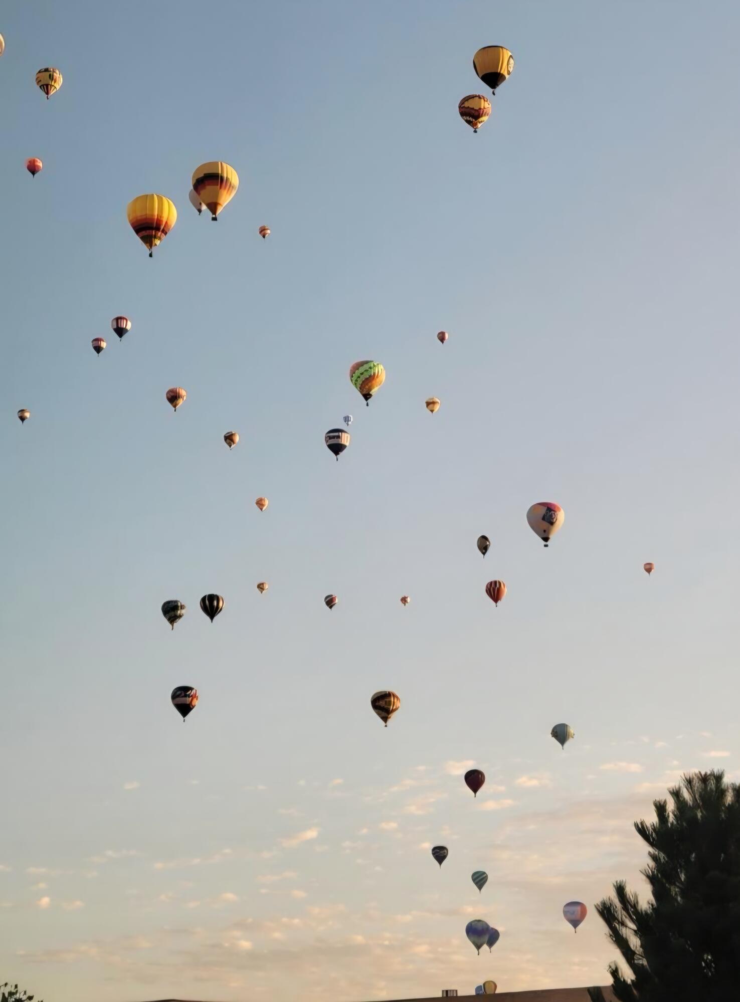 7712 Calle Carisma NE