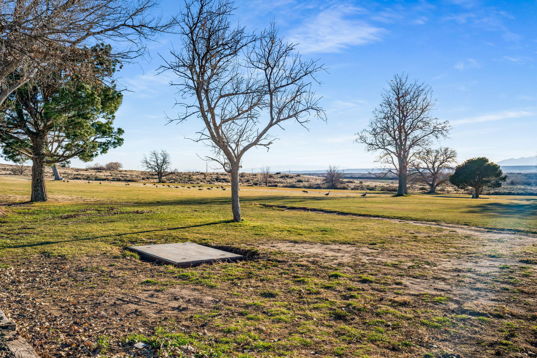 713 Lee Trevino Drive