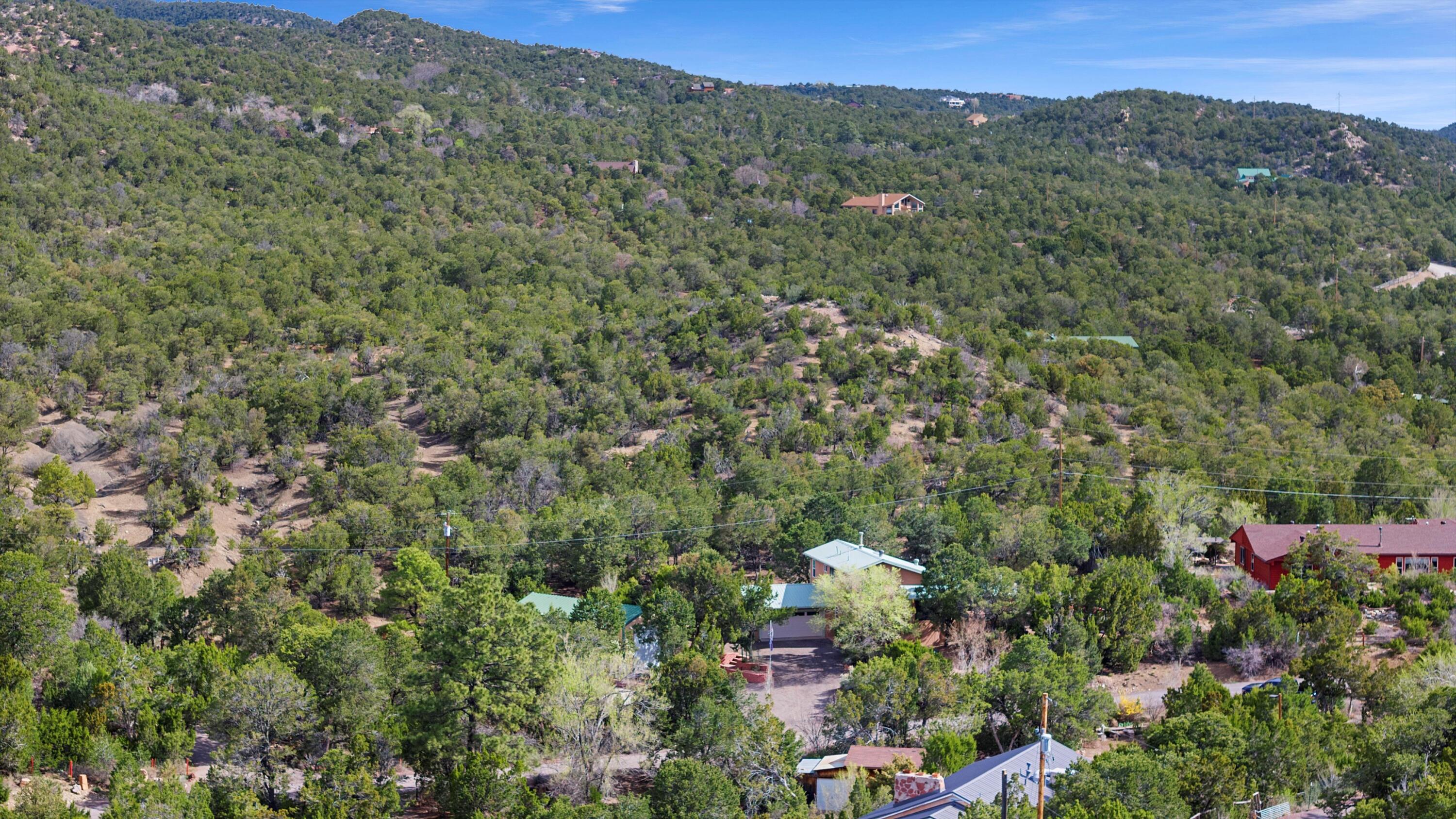 11 Eagle Trail