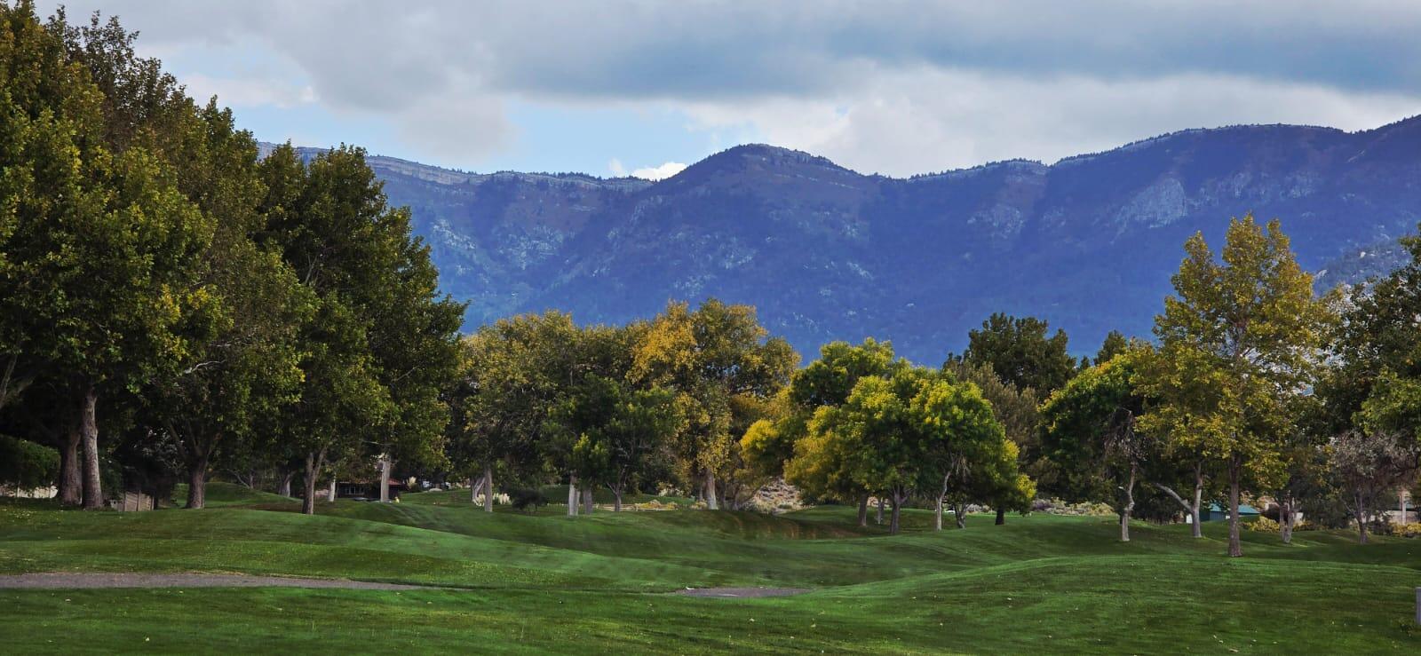 11209 Desert Classic Lane NE