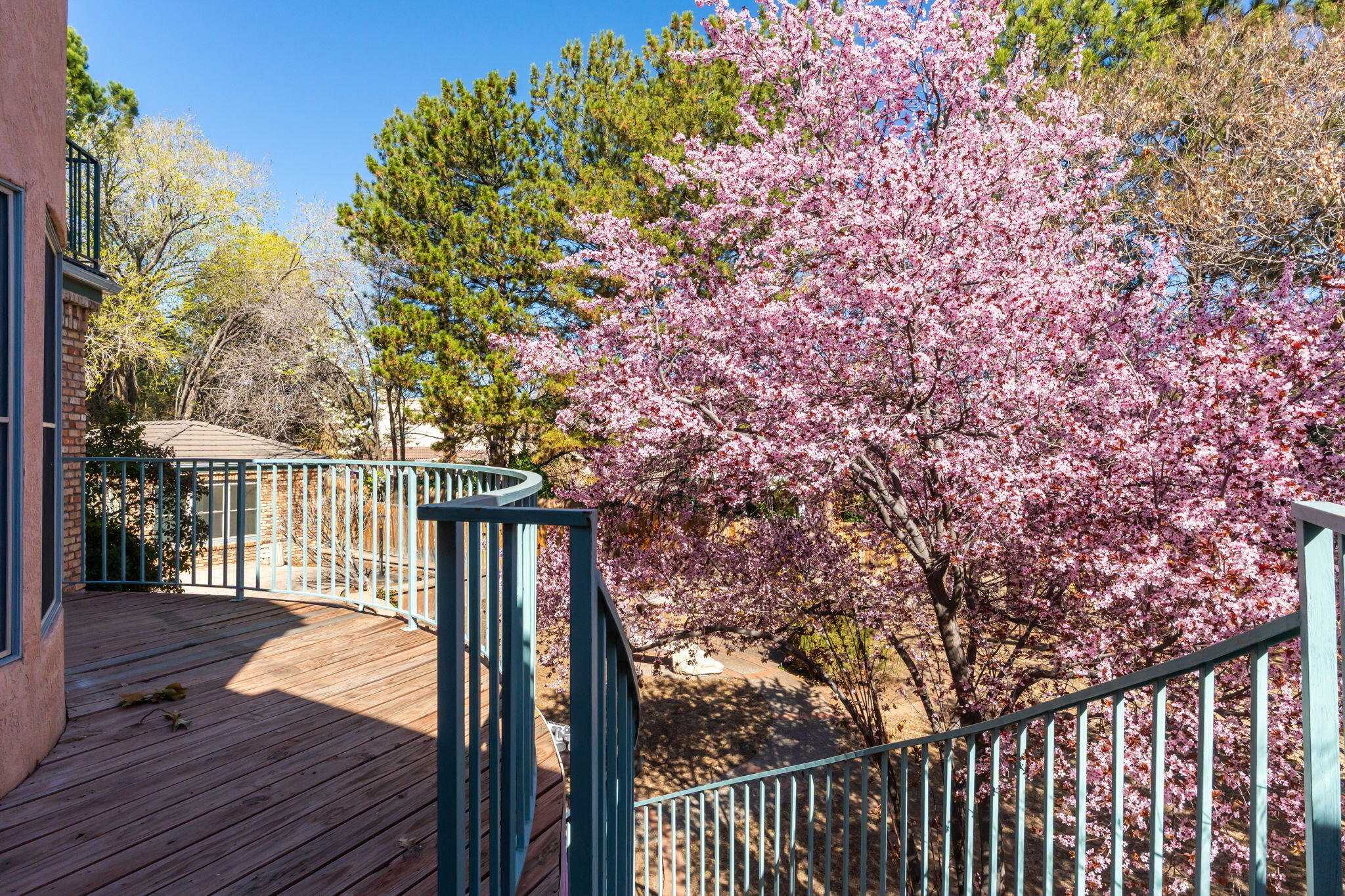 4411 Constitution Avenue NE