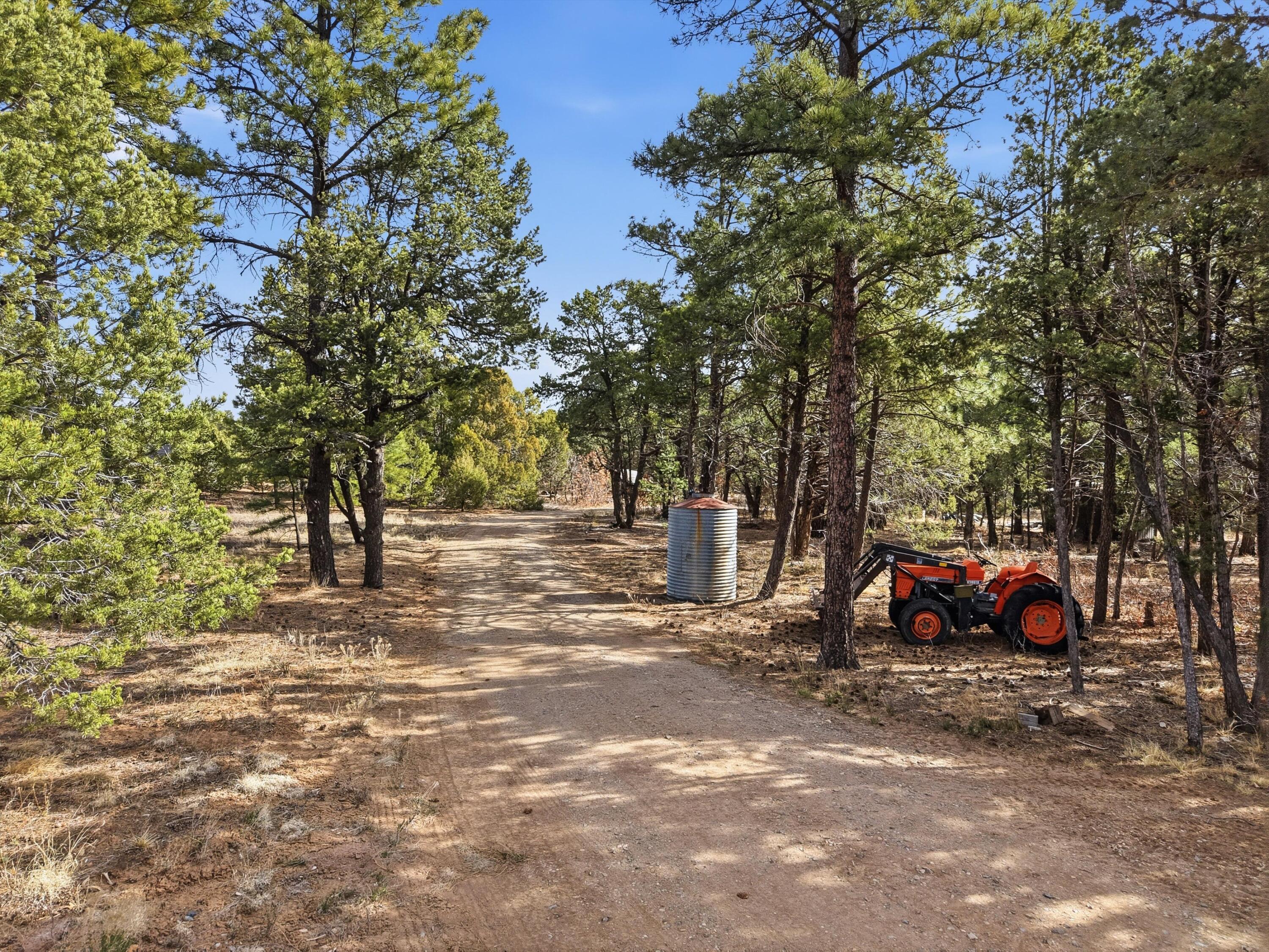 60 Granny Canyon Trail