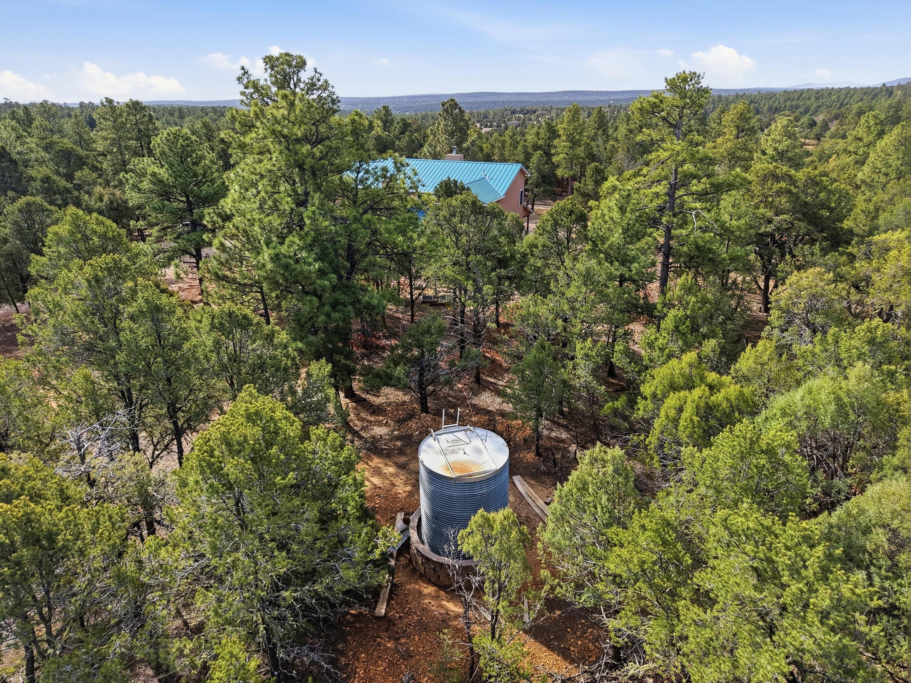 60 Granny Canyon Trail