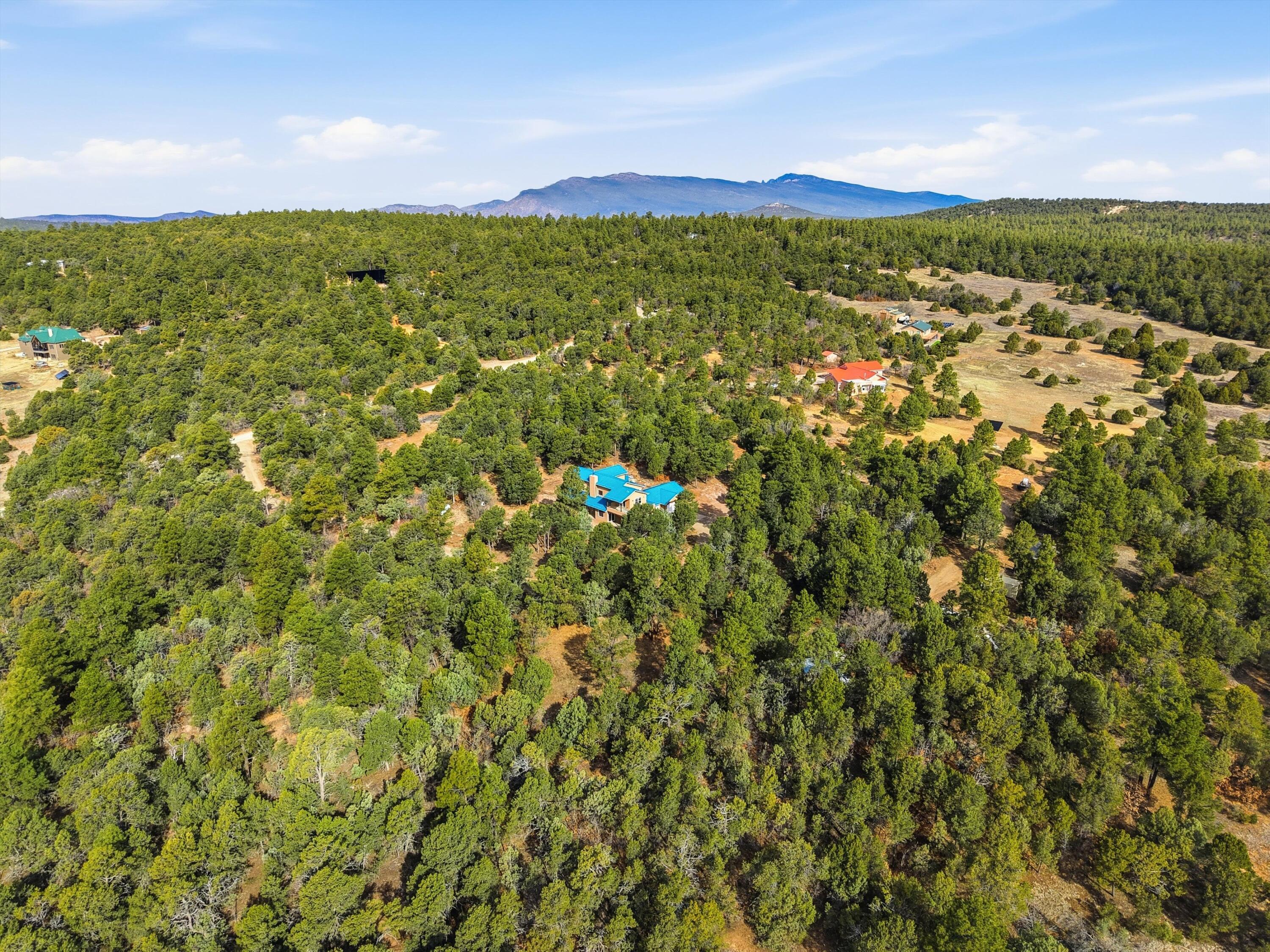 60 Granny Canyon Trail