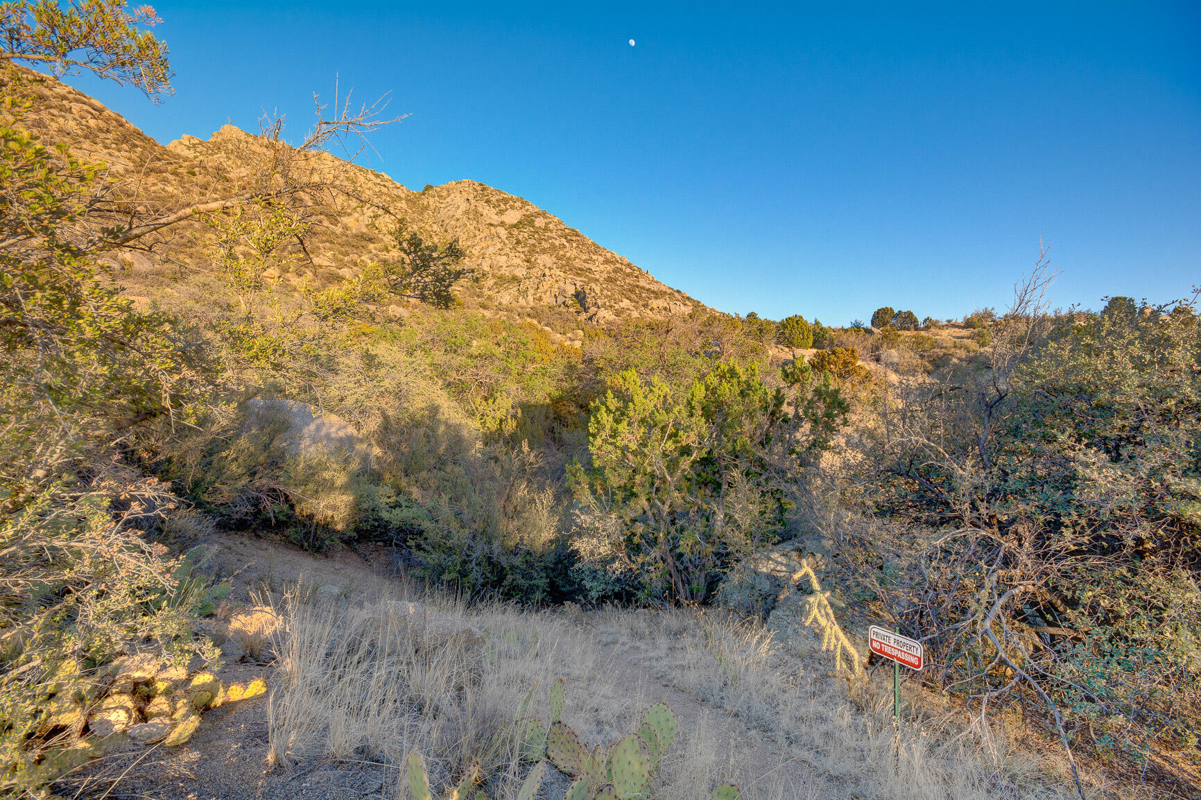 9 La Luz Trail NE