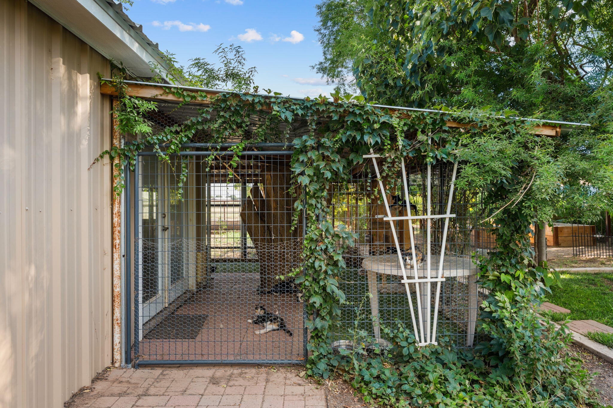 26 Jamerson Road
