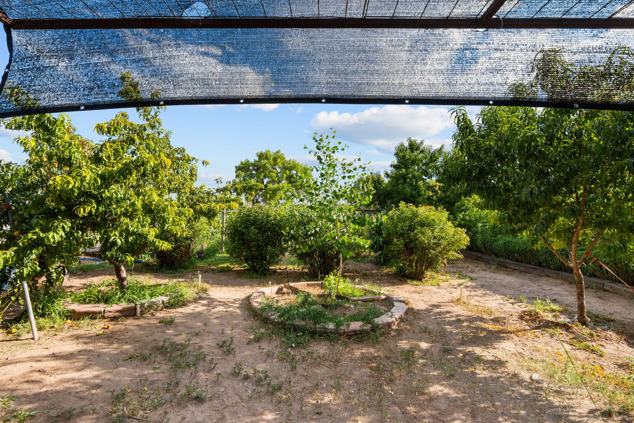 26 Jamerson Road