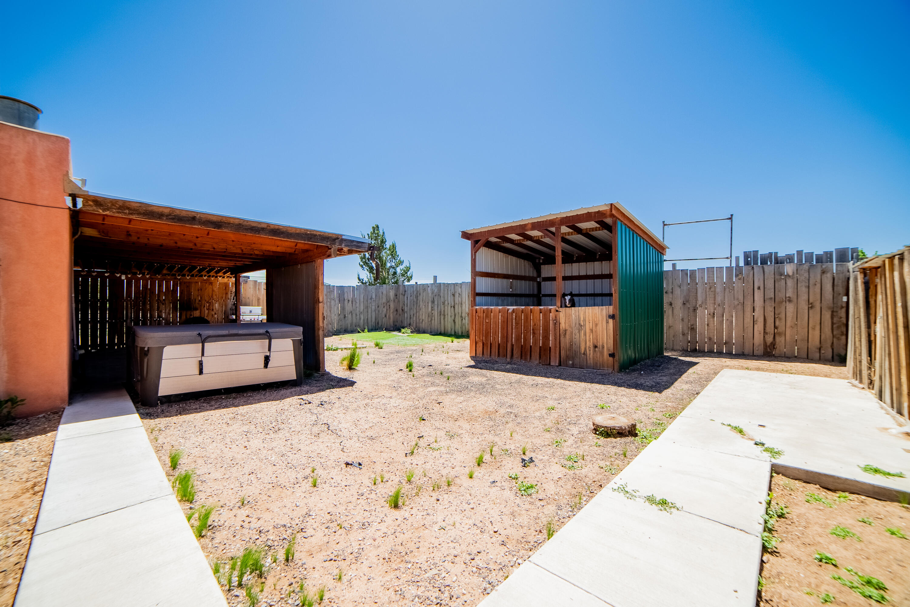 1407 Borrego