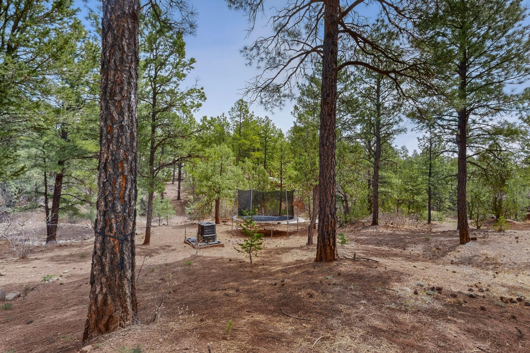 88 Pinon Ridge